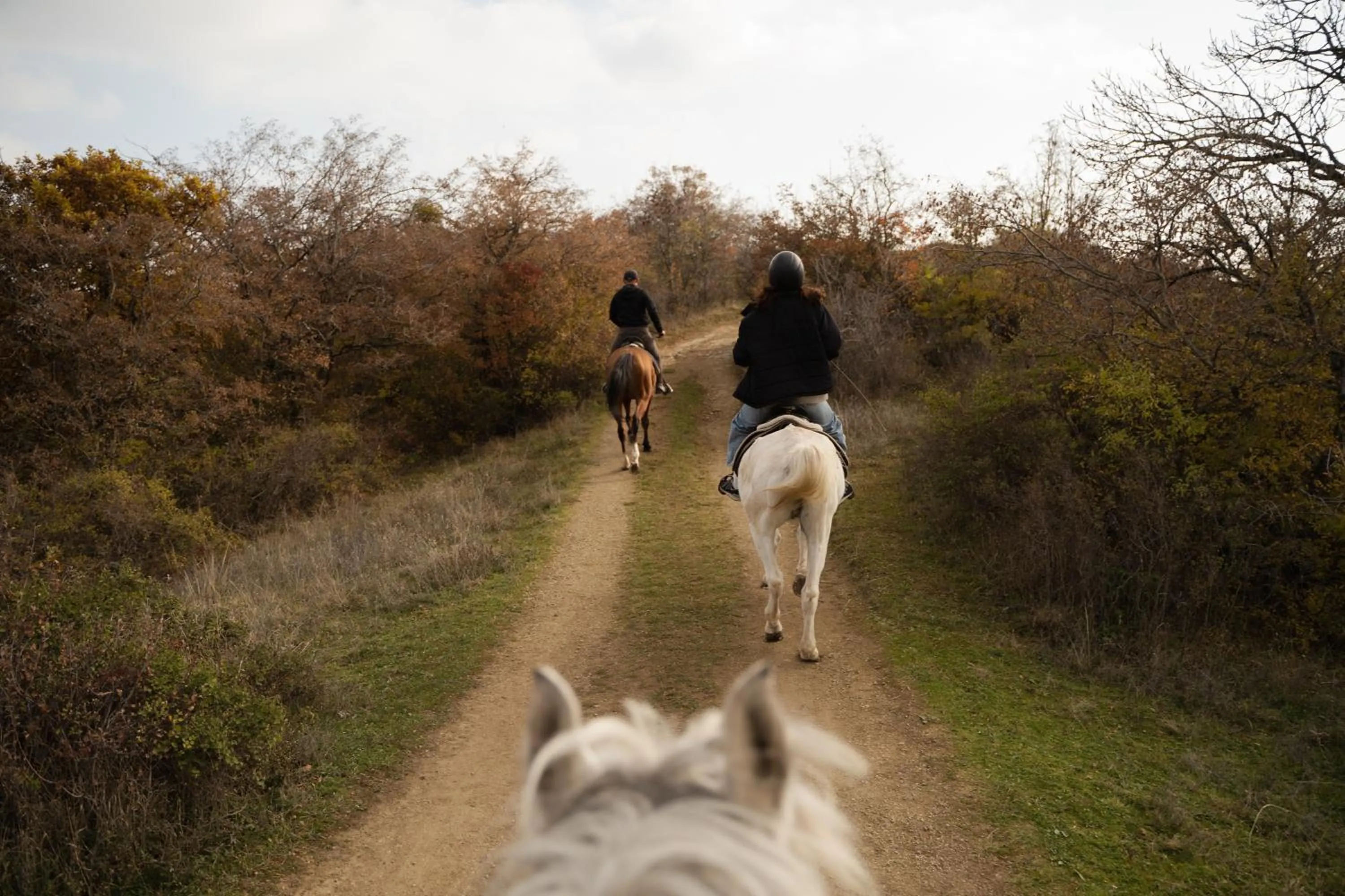 People in Kiketi Farm Hotels