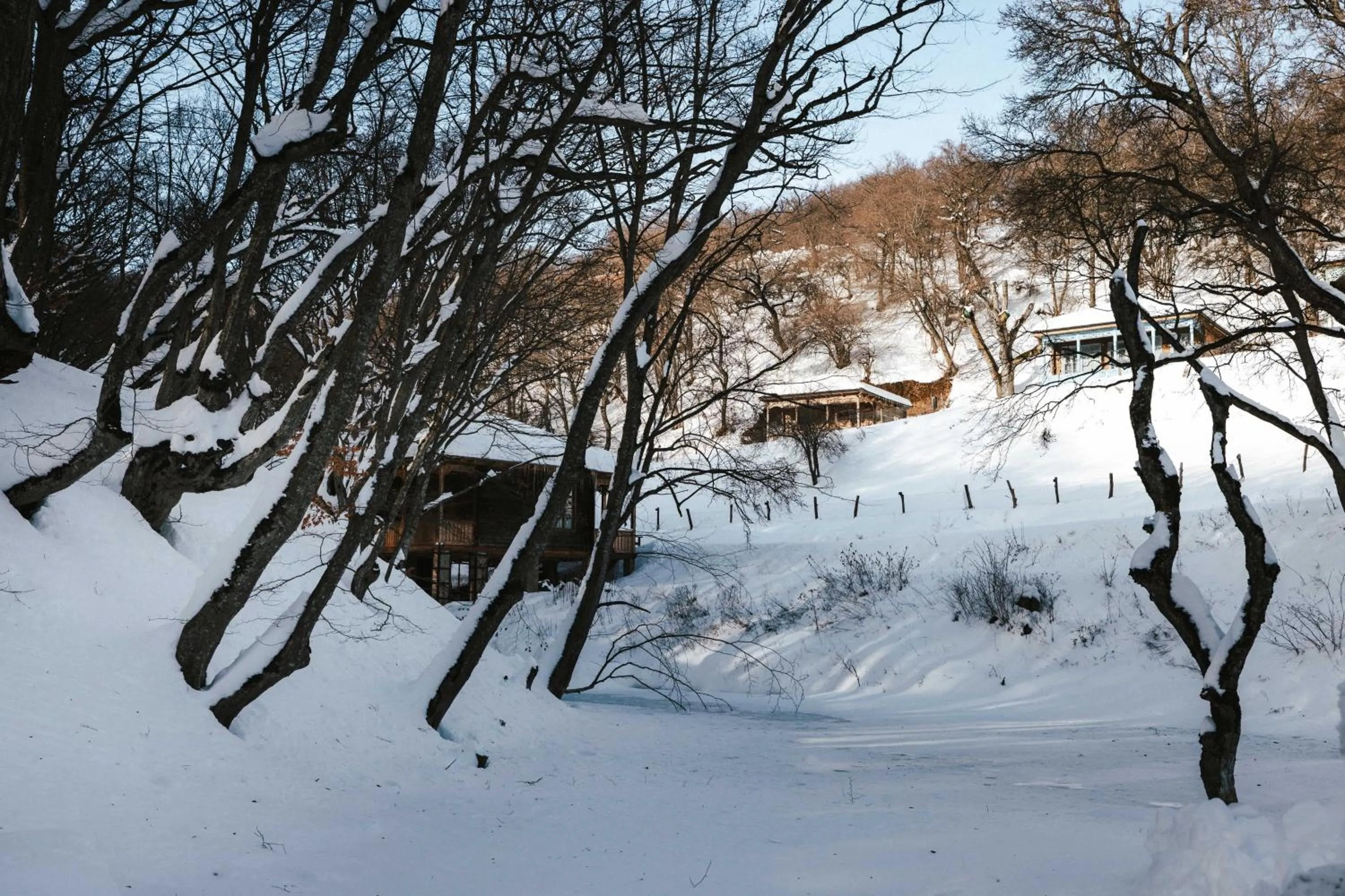 Winter in Kiketi Farm Hotels