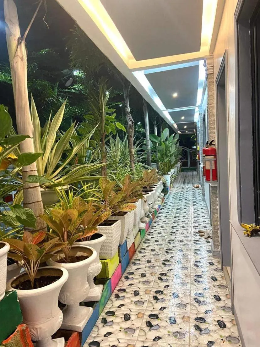 Garden in The VeeHive Guesthouse