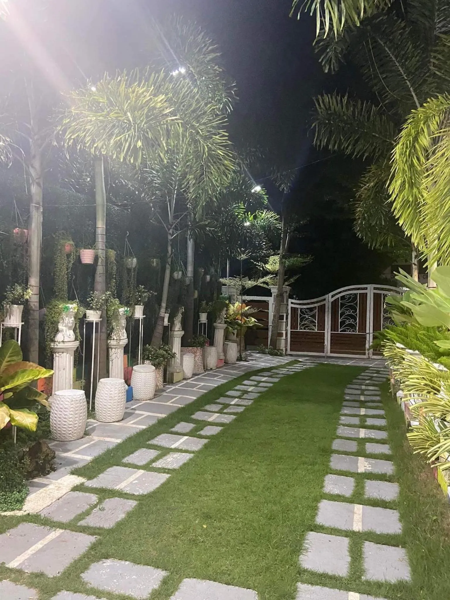 Garden view in The VeeHive Guesthouse