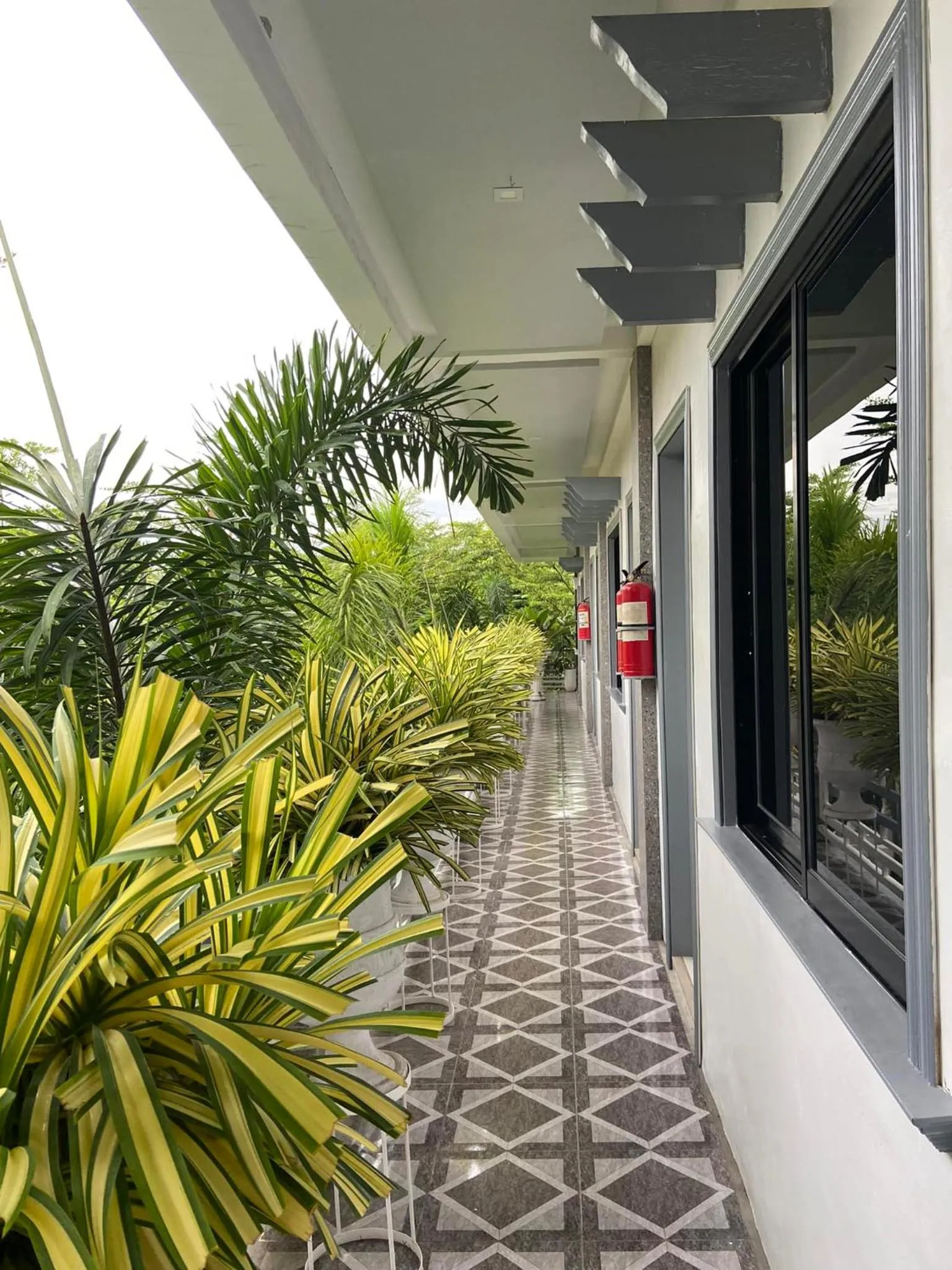 Garden view in The VeeHive Guesthouse