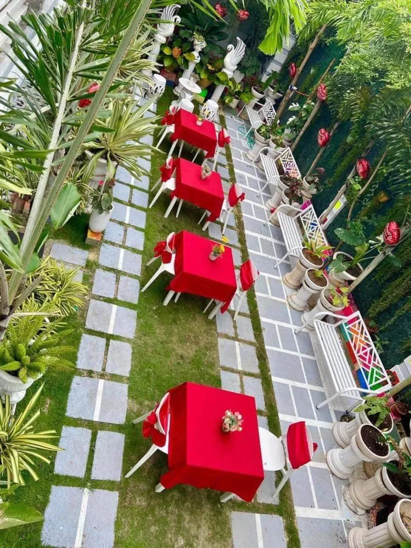 Garden view in The VeeHive Guesthouse