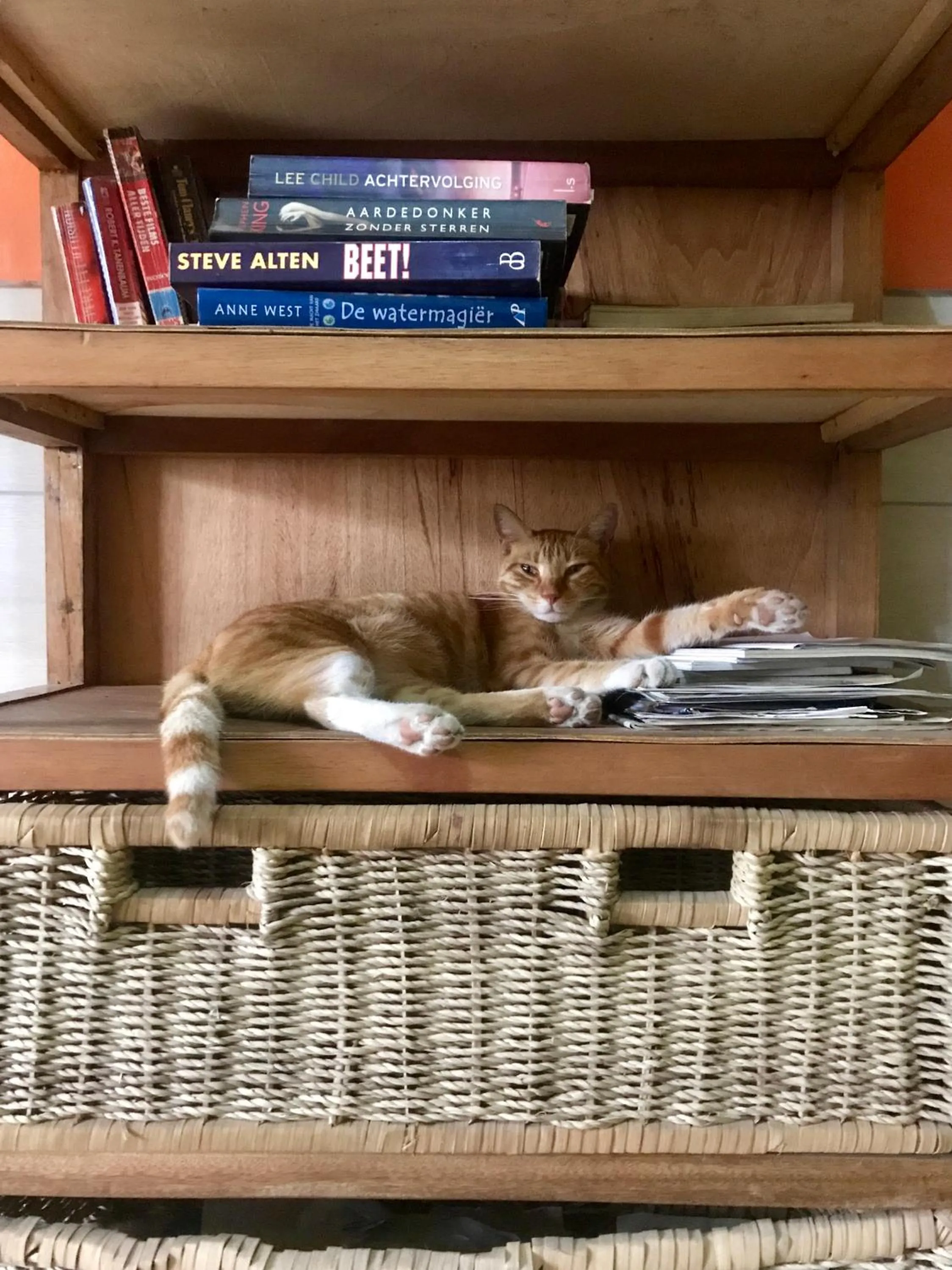 Library in Omanye Lodge