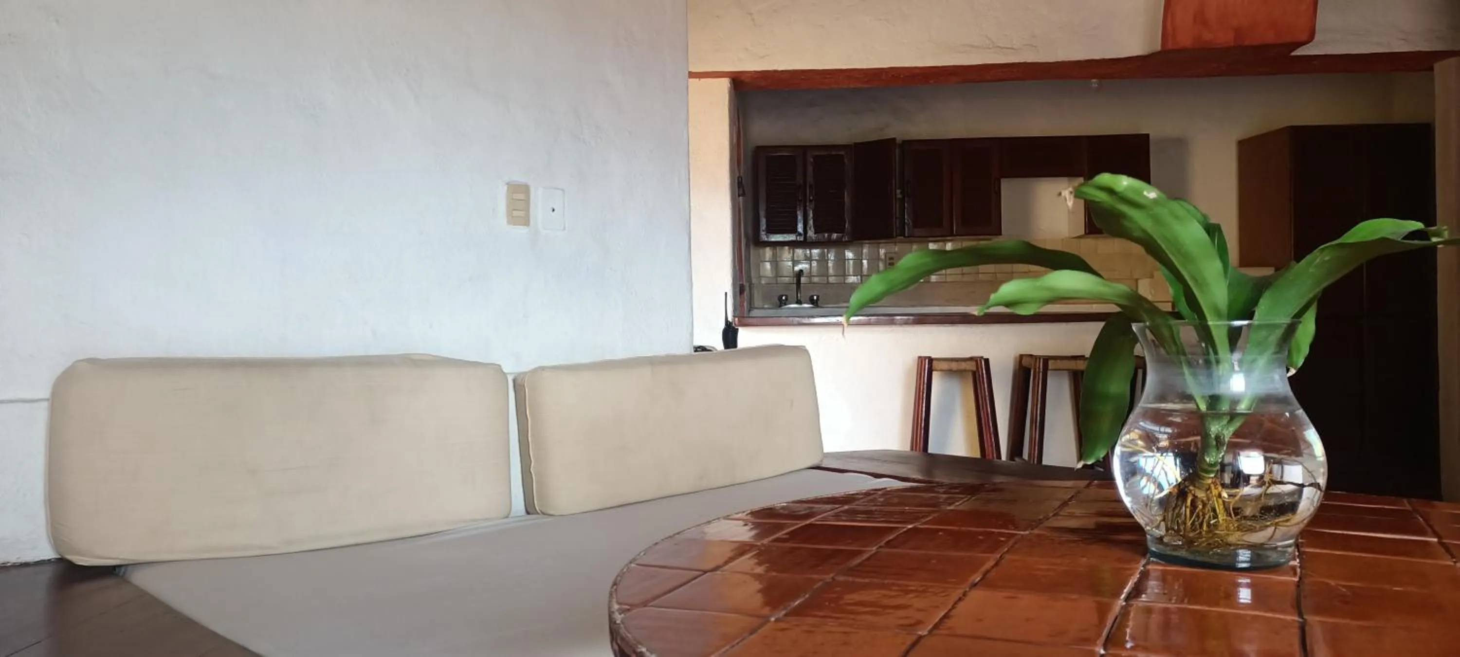 Living room, Kitchen/Kitchenette in hotel plaza tucanes