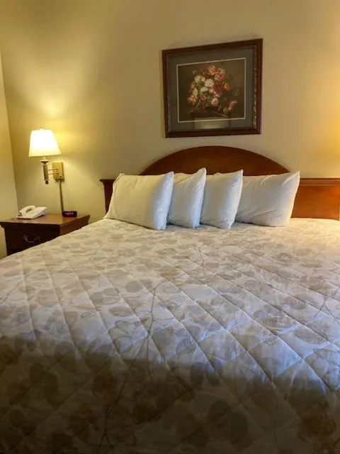 Bed in Sandhills Guest House Motel