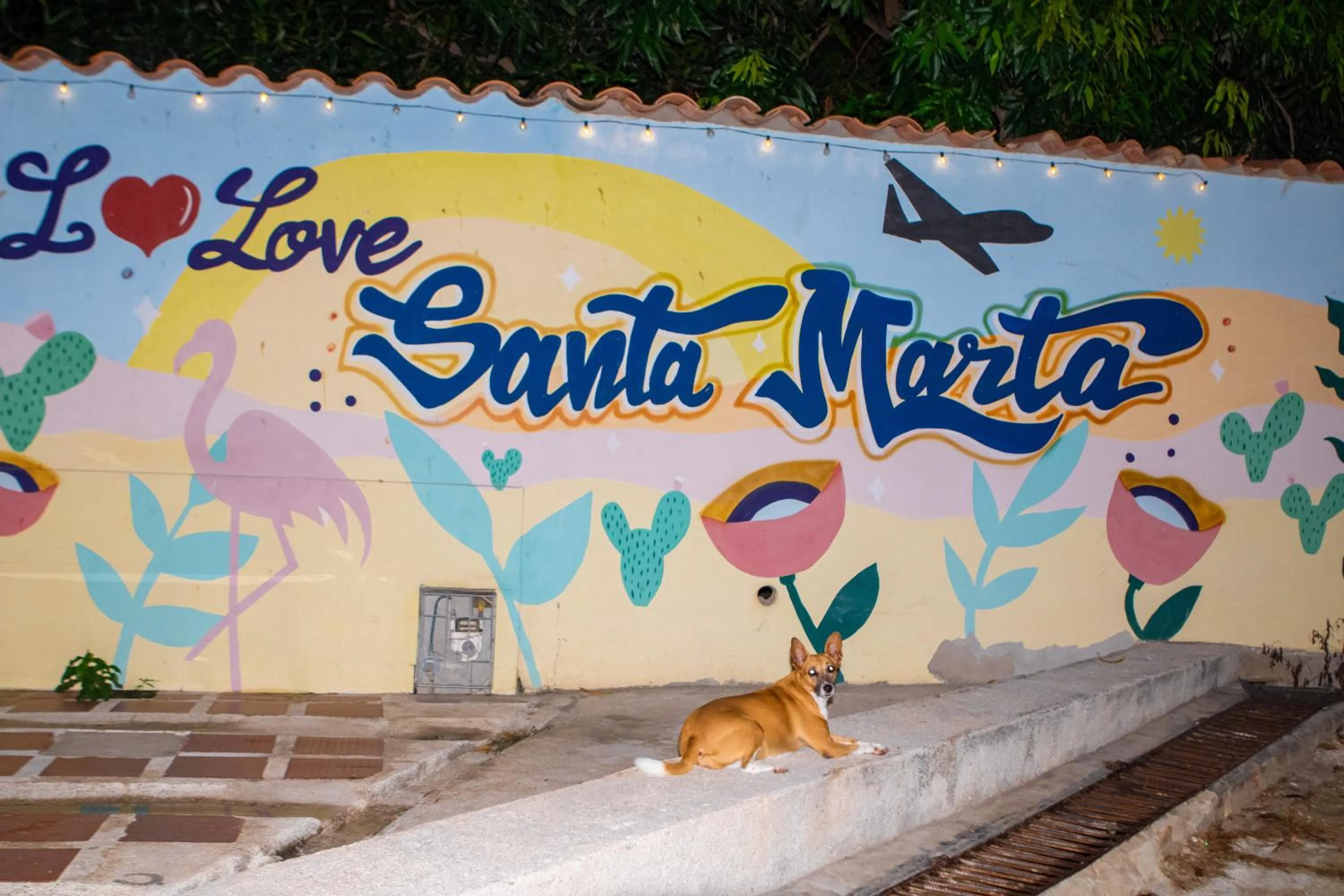 Pets in Hostel ISABELLA