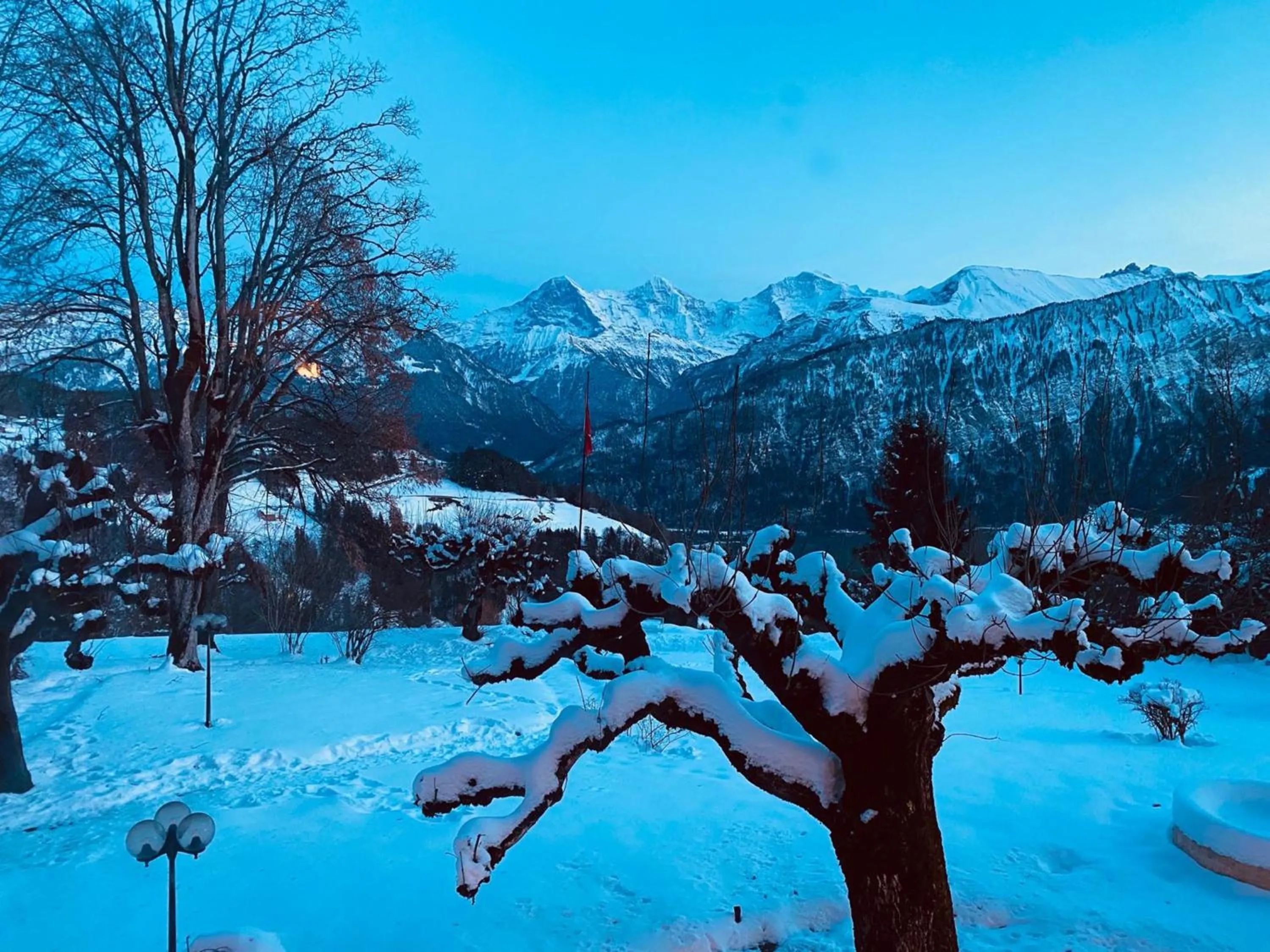 Beatenberg Resort & Spa in Beatenberg Interlaken