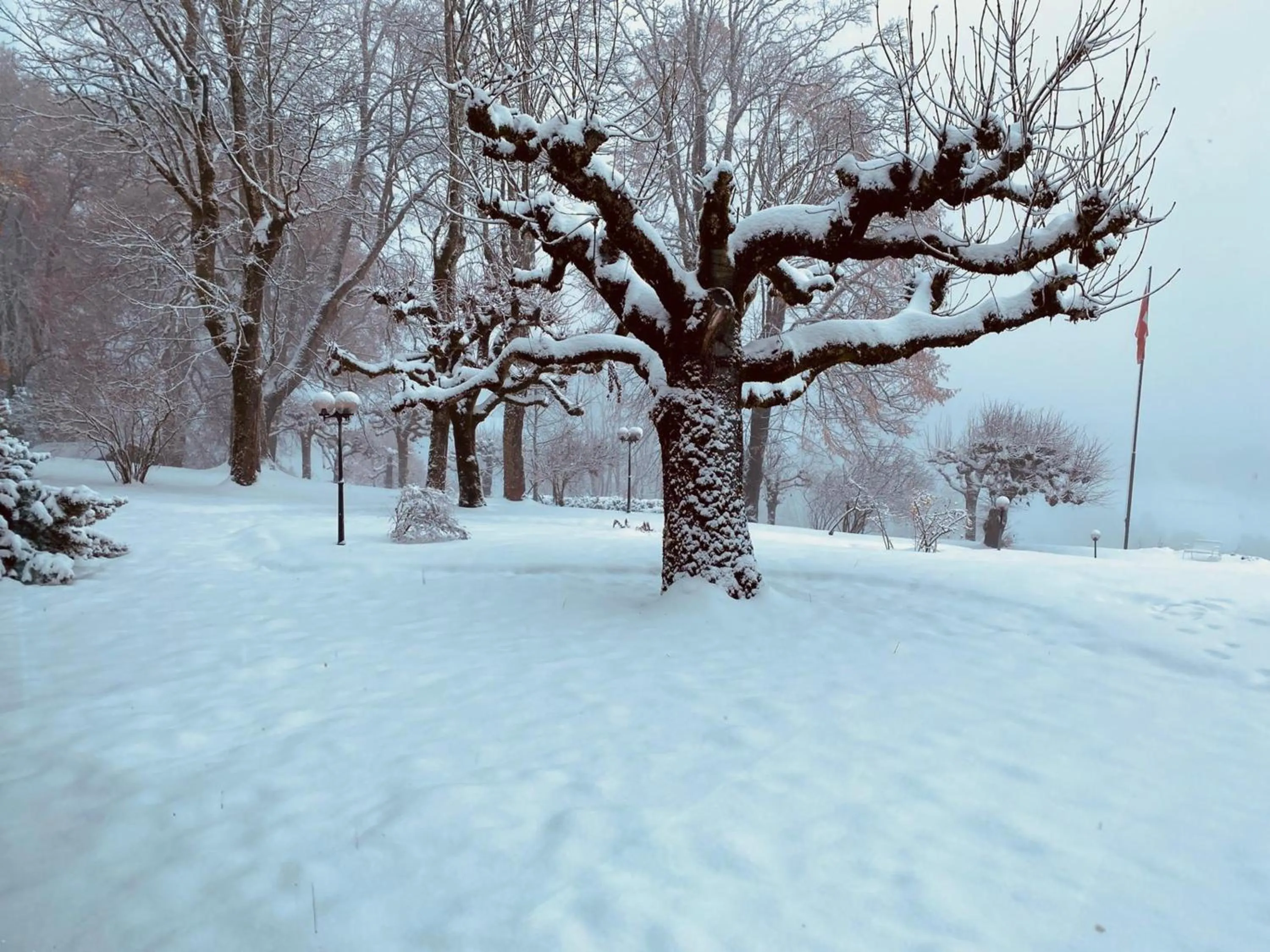 Beatenberg Resort & Spa in Beatenberg Interlaken