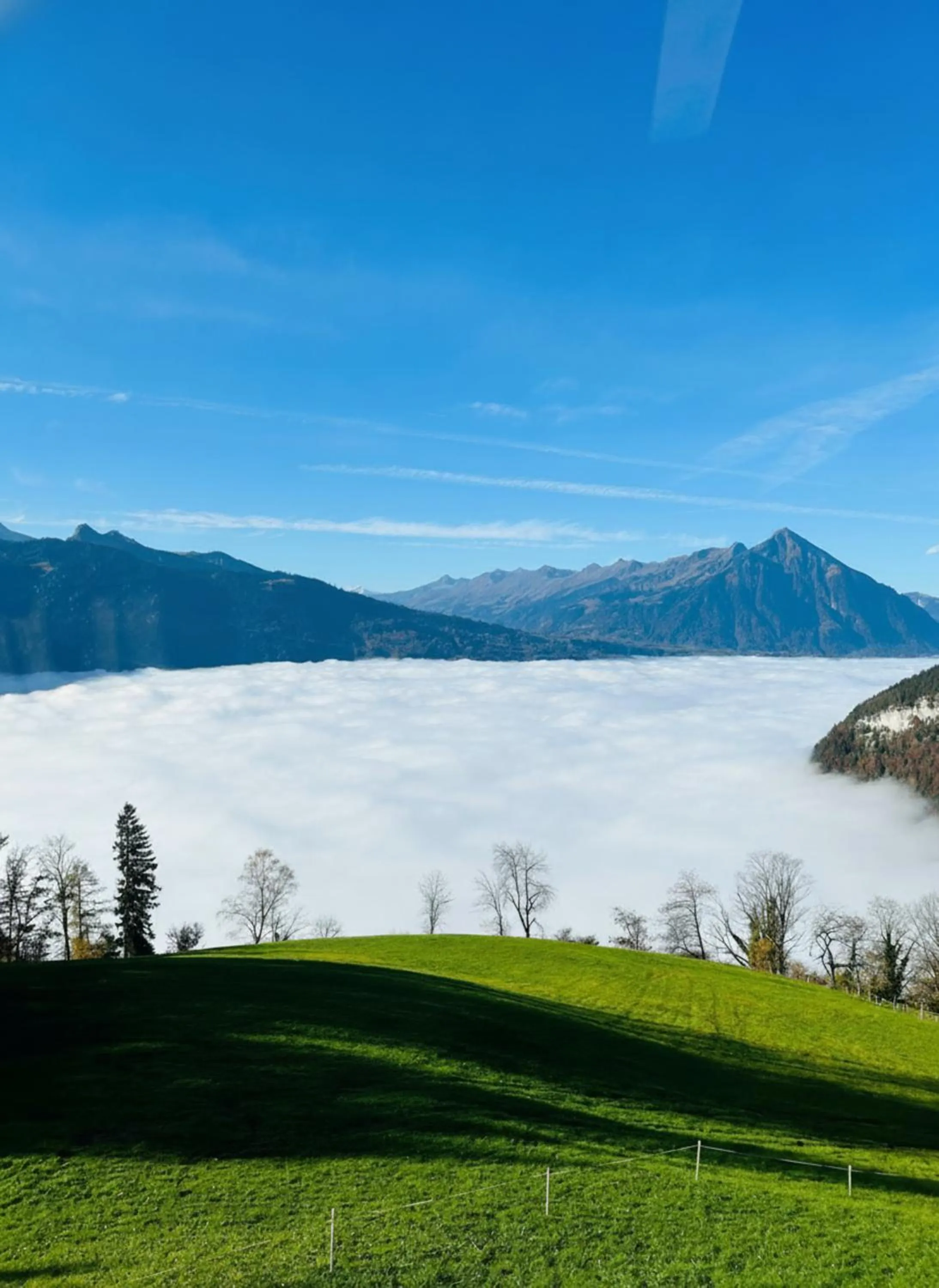 Beatenberg Resort & Spa in Beatenberg Interlaken