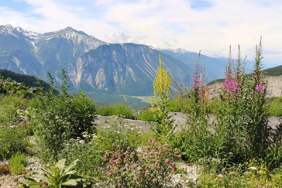 Mountain view in Haus Rhodania