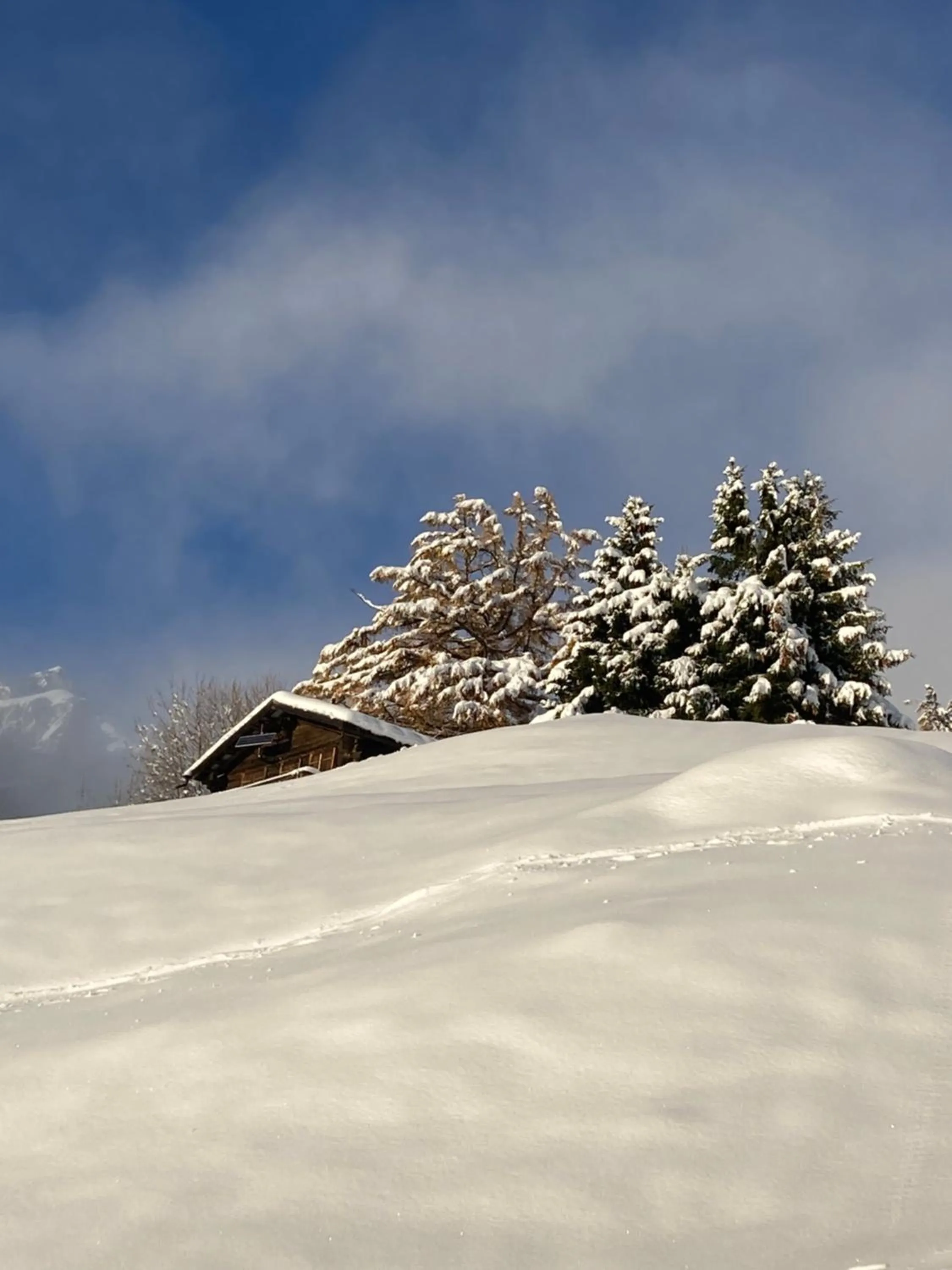 Natural landscape in Haus Rhodania