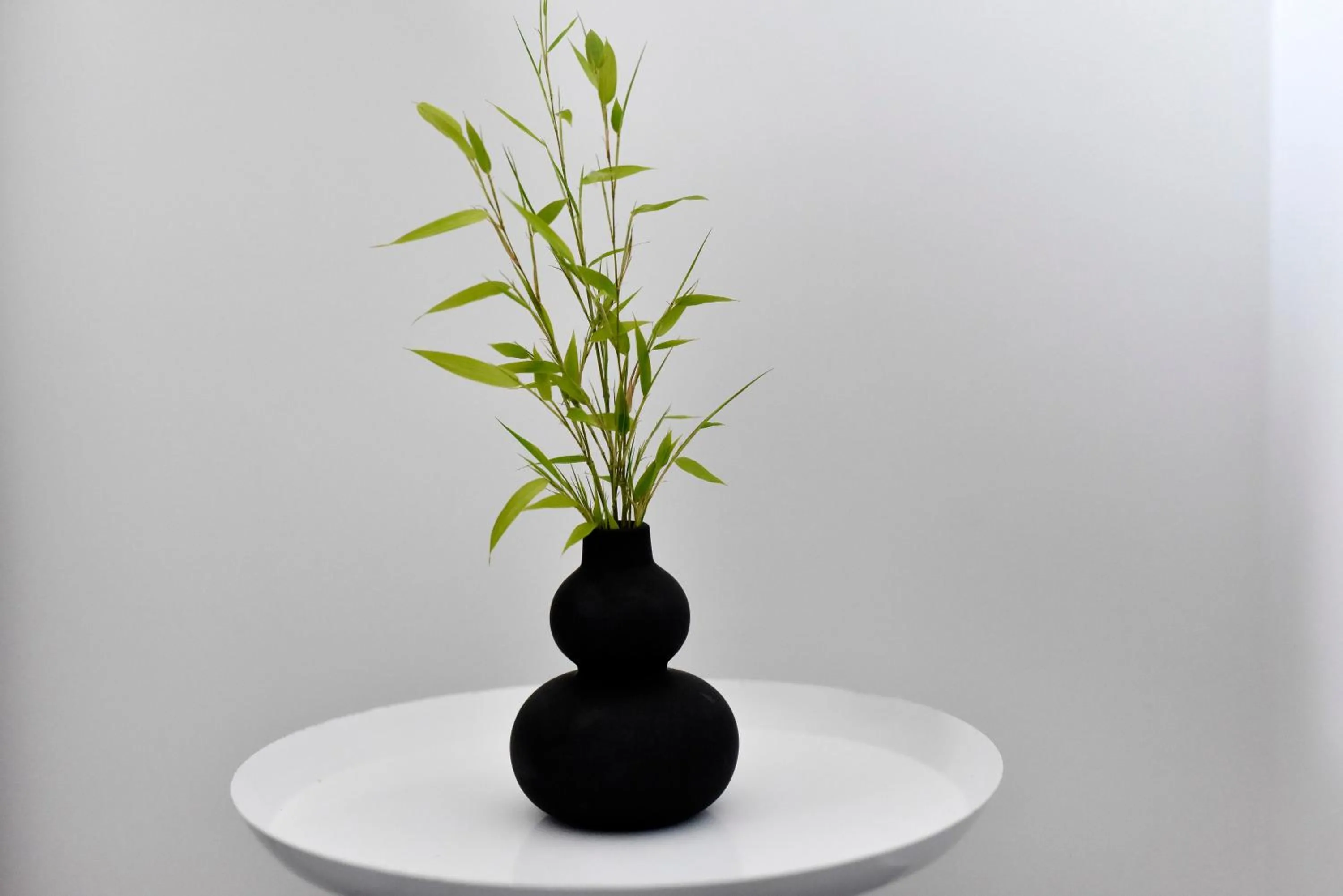 Decorative detail in Luxury apartment N