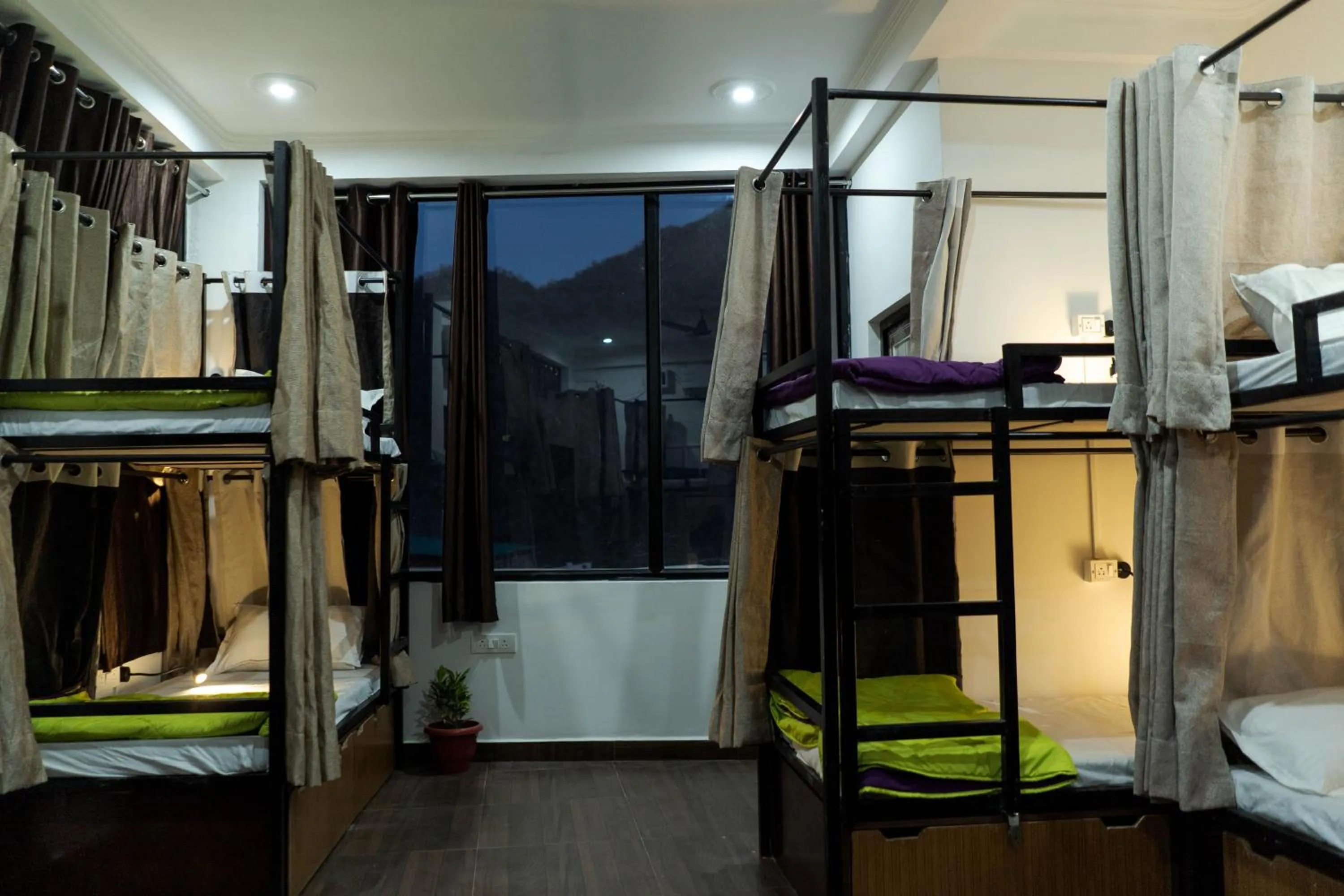 bunk bed, Bed in Spontrail Hostel