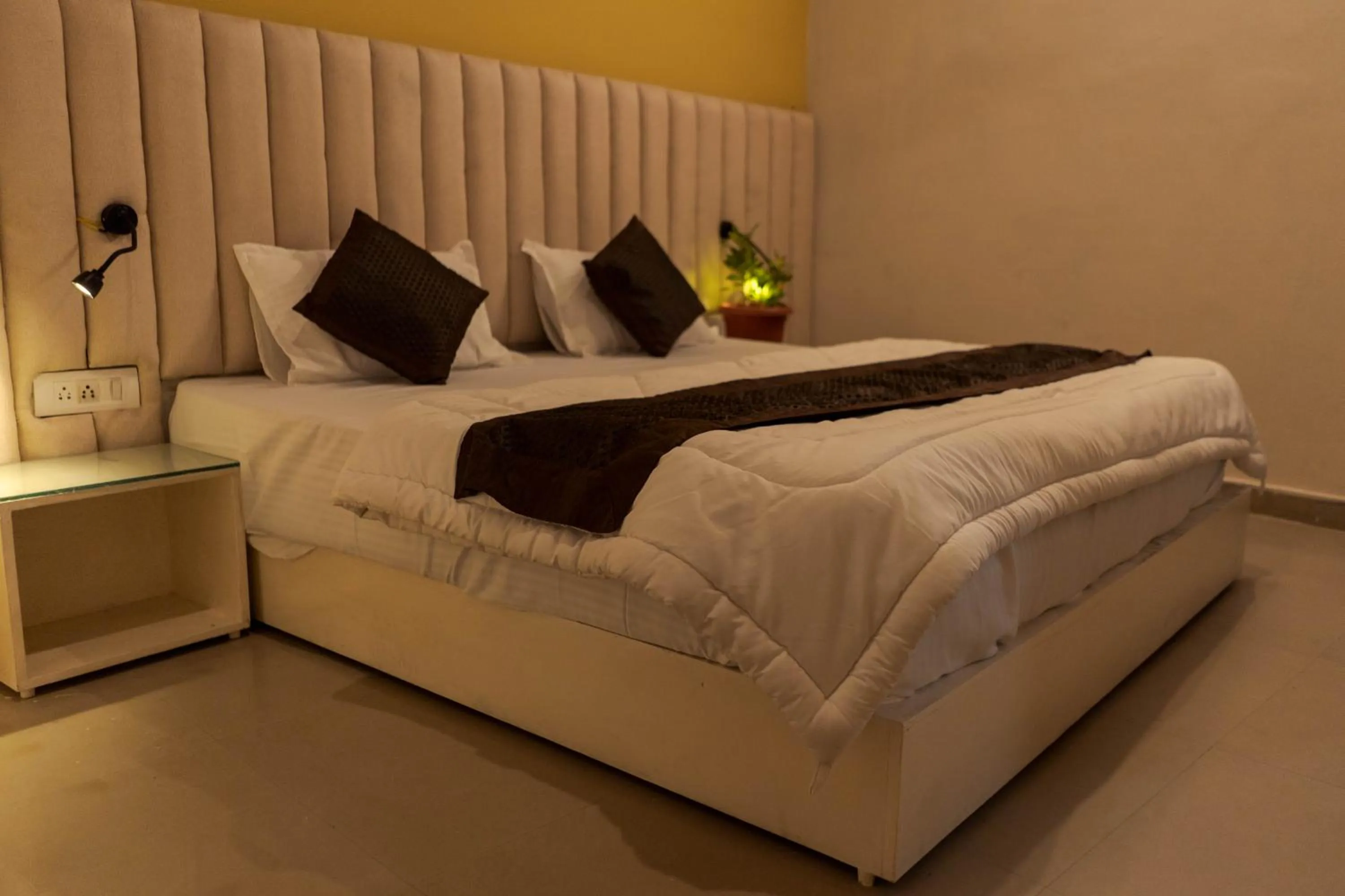 Bed in Spontrail Hostel