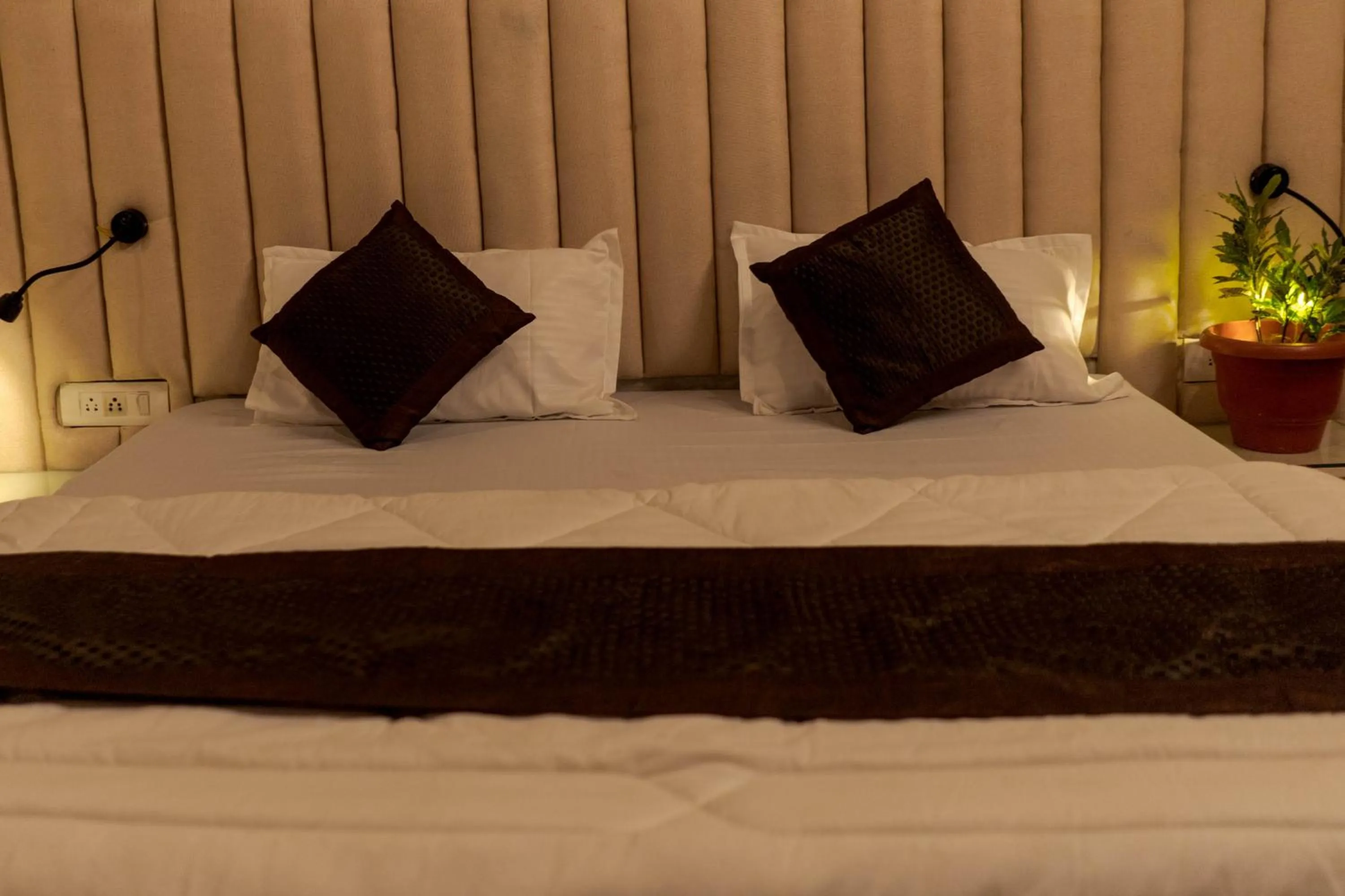 Bed in Spontrail Hostel