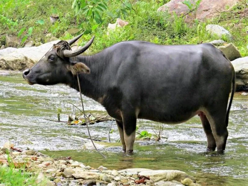 Day in Ship MARIA Hotel