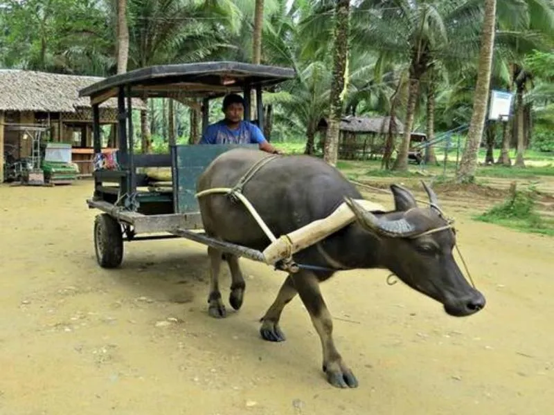 Day in Ship MARIA Hotel