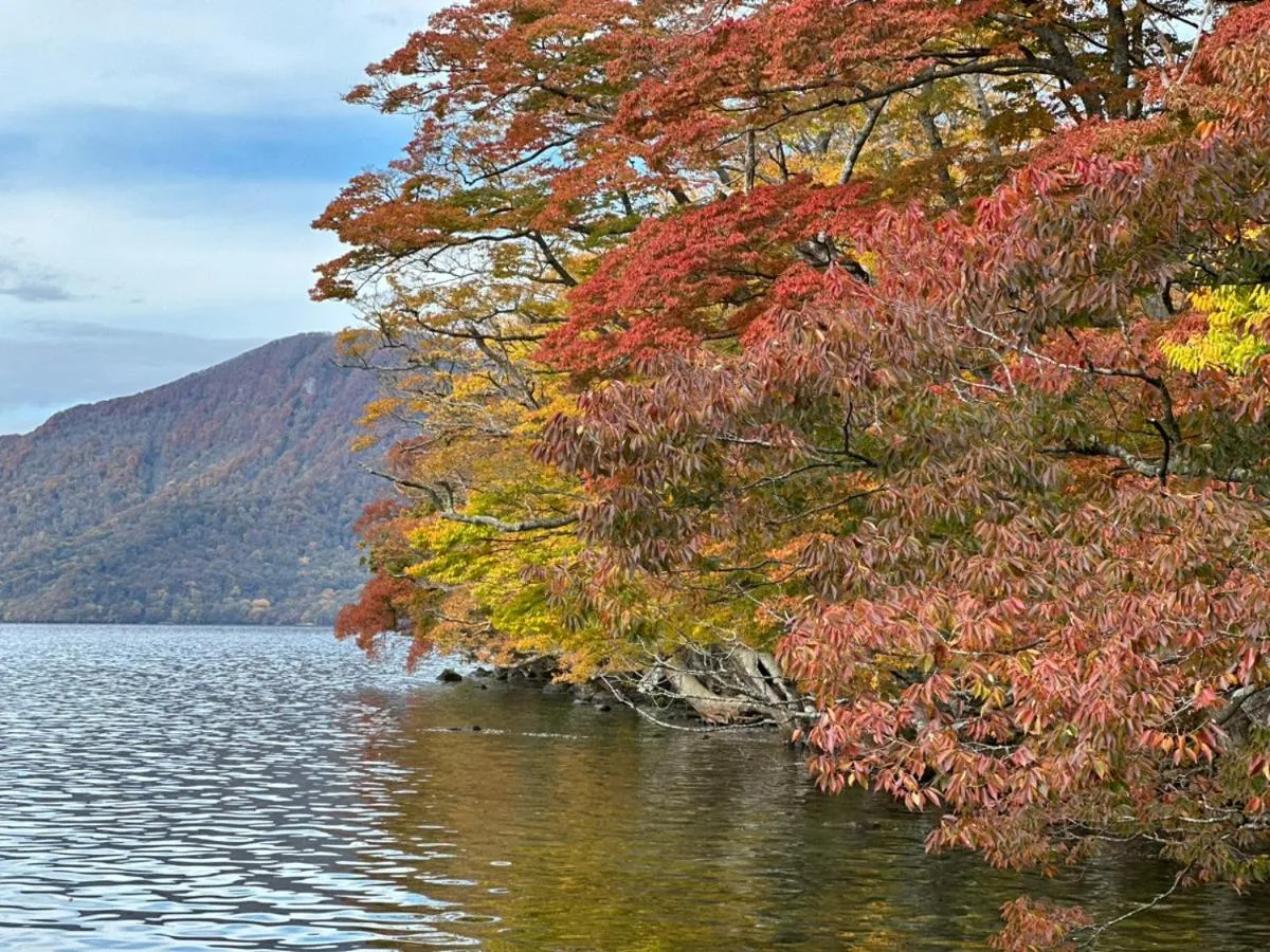 Nearby landmark in Towadakohan Sakura