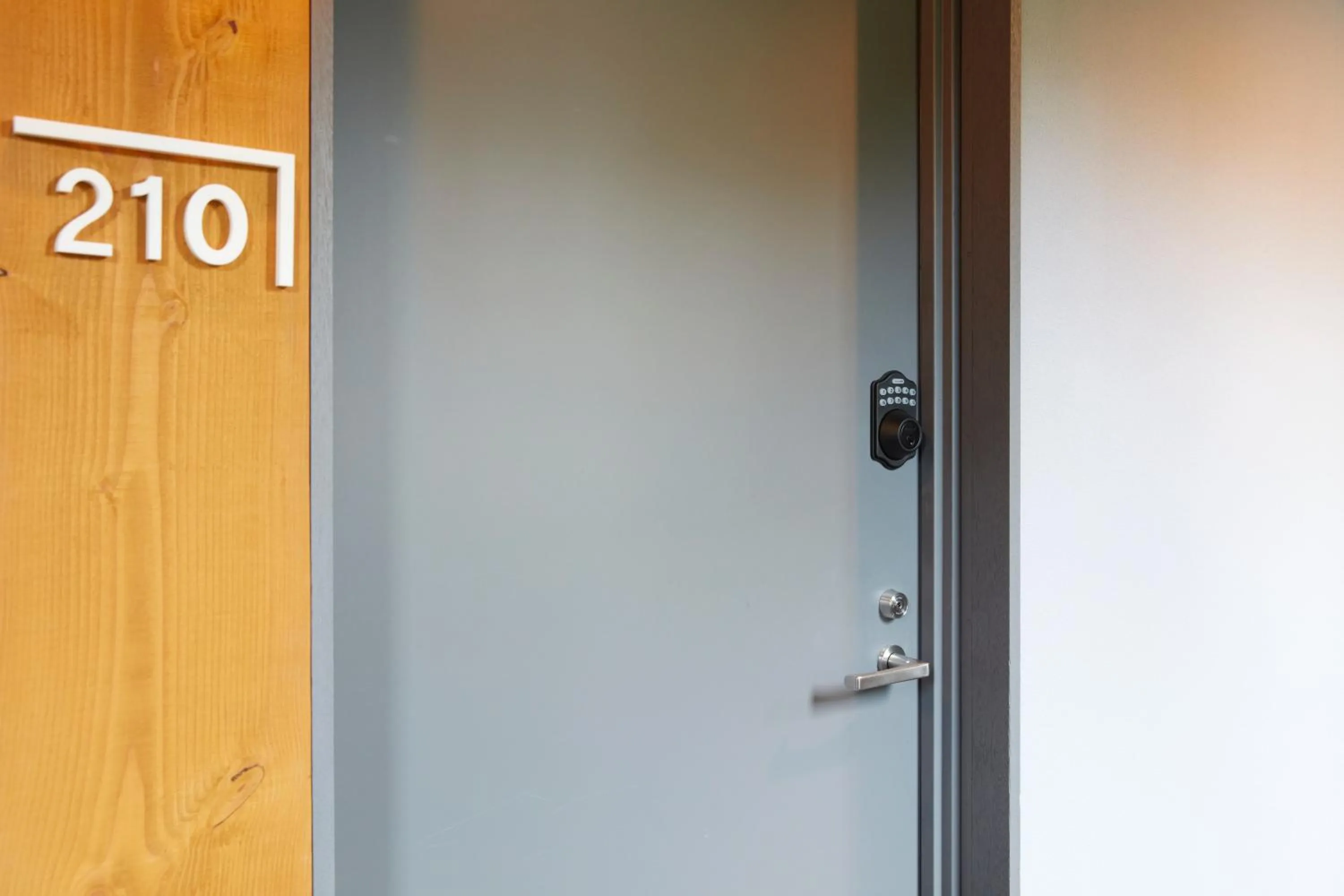 Other in Towadakohan Sakura