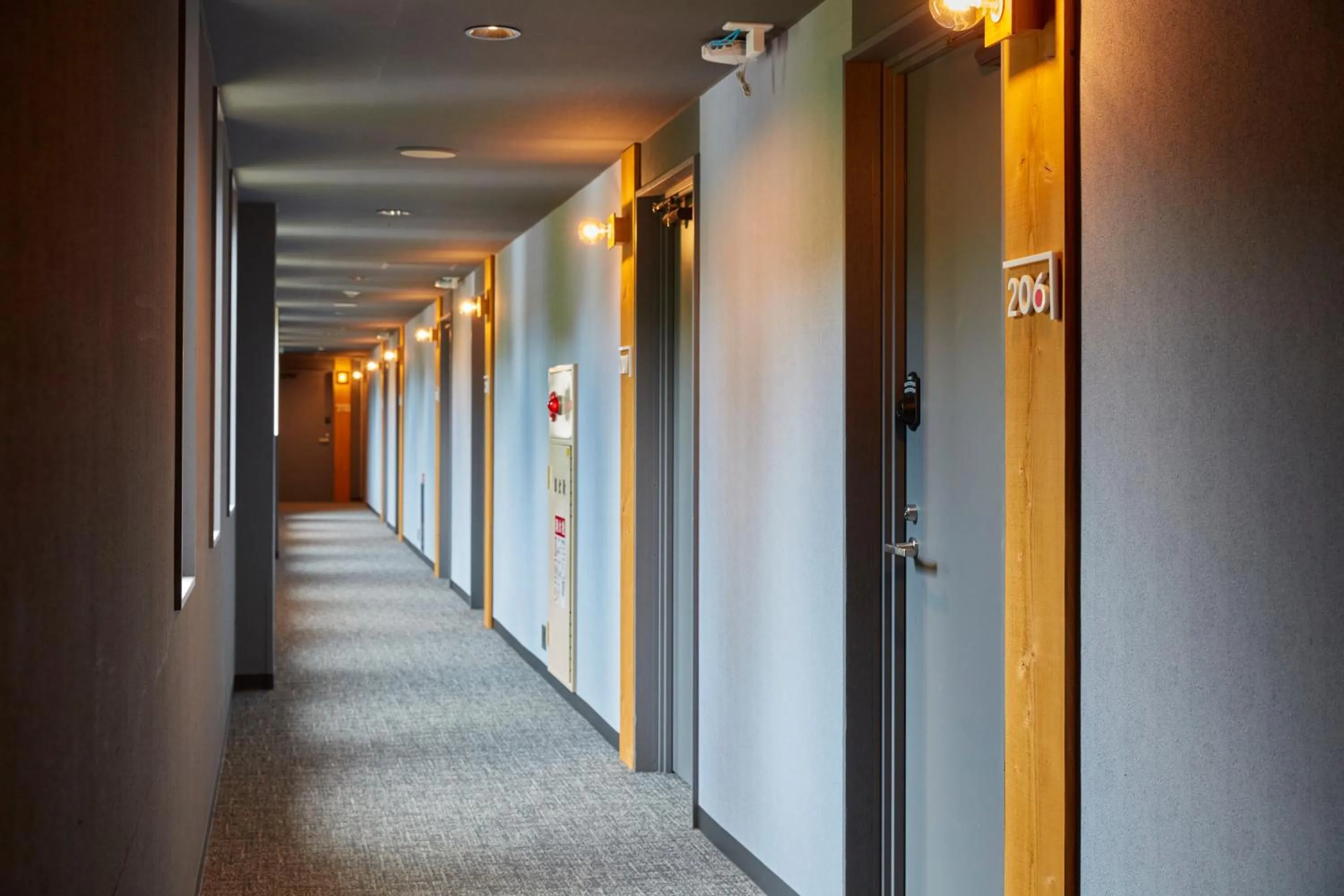 Other in Towadakohan Sakura