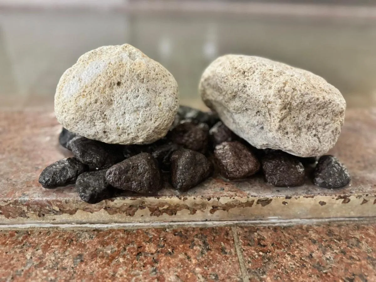 Public Bath in Towadakohan Sakura