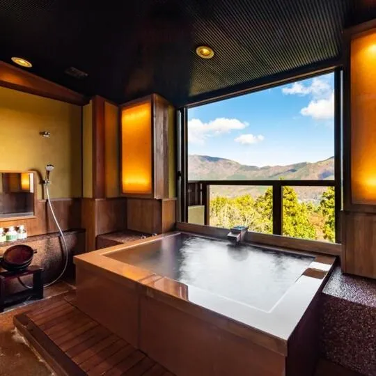 Hot Spring Bath in Hakone Kyuan