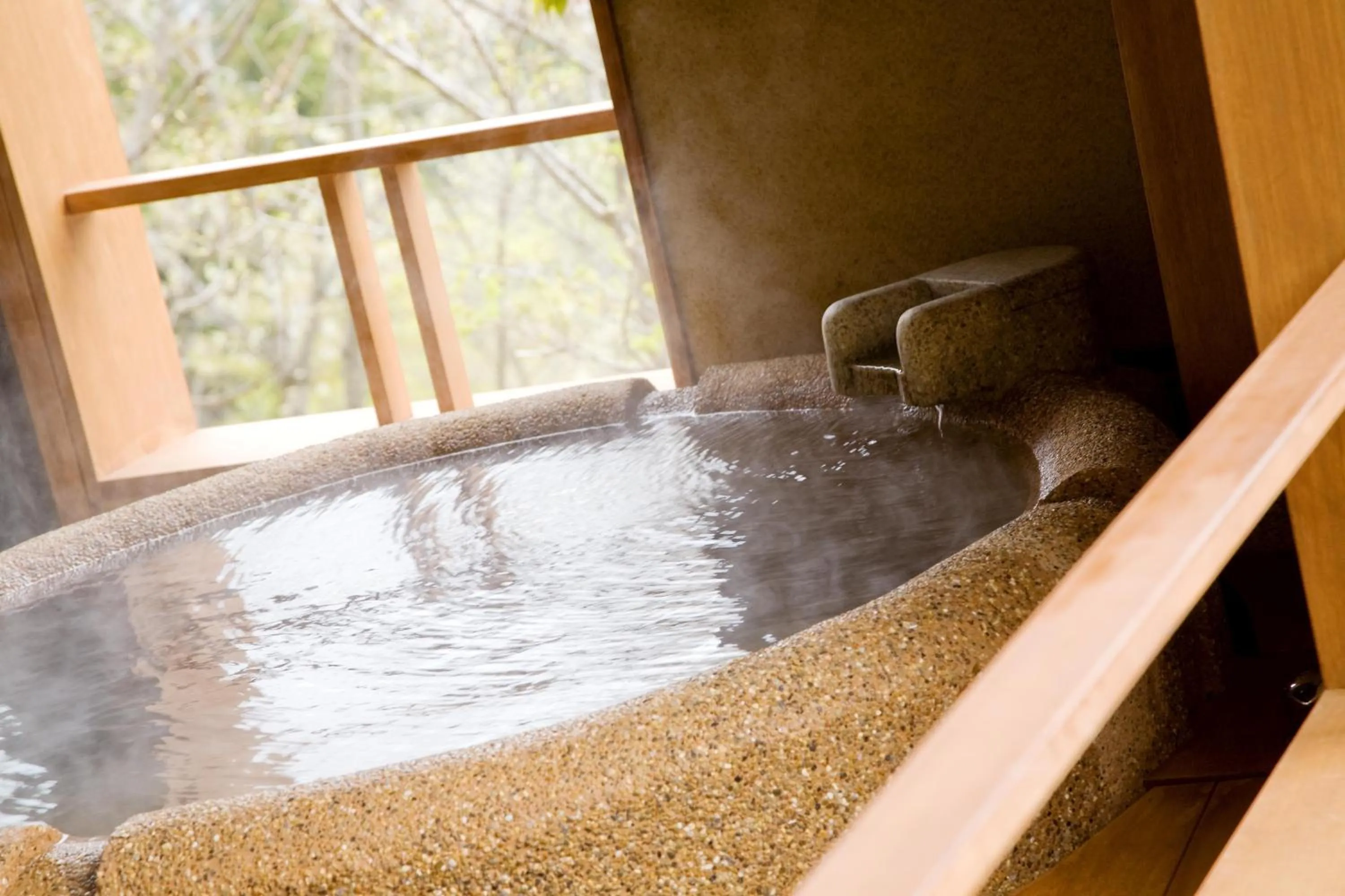 Hot Spring Bath in Hakone Kyuan