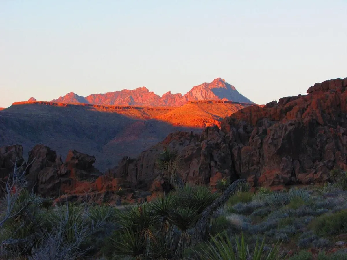 View (from property/room) in Sierra Motor Lodge - A Sierra Blue Hotel