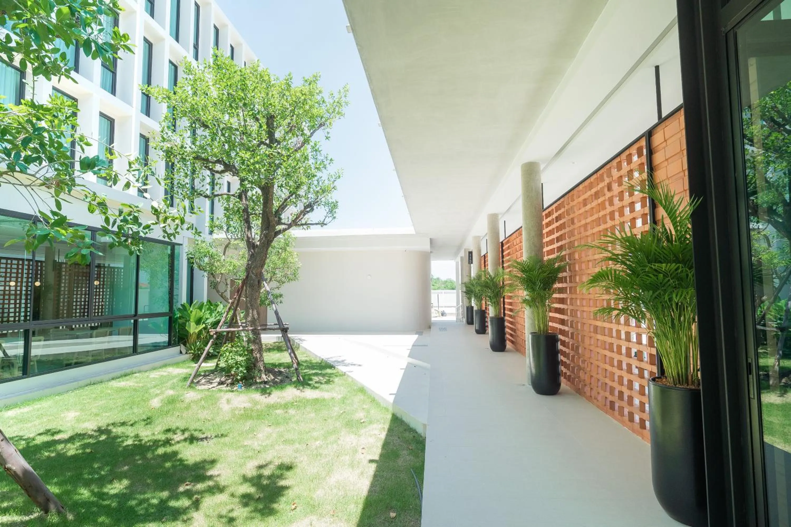 Area and facilities in Pillows boutique hotel