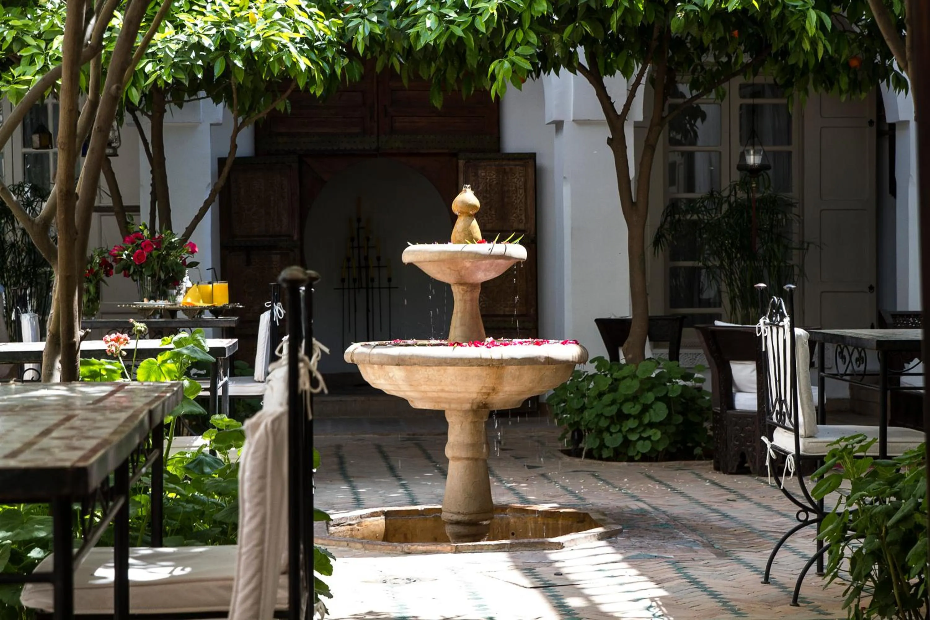 Garden in Riad Clémentine