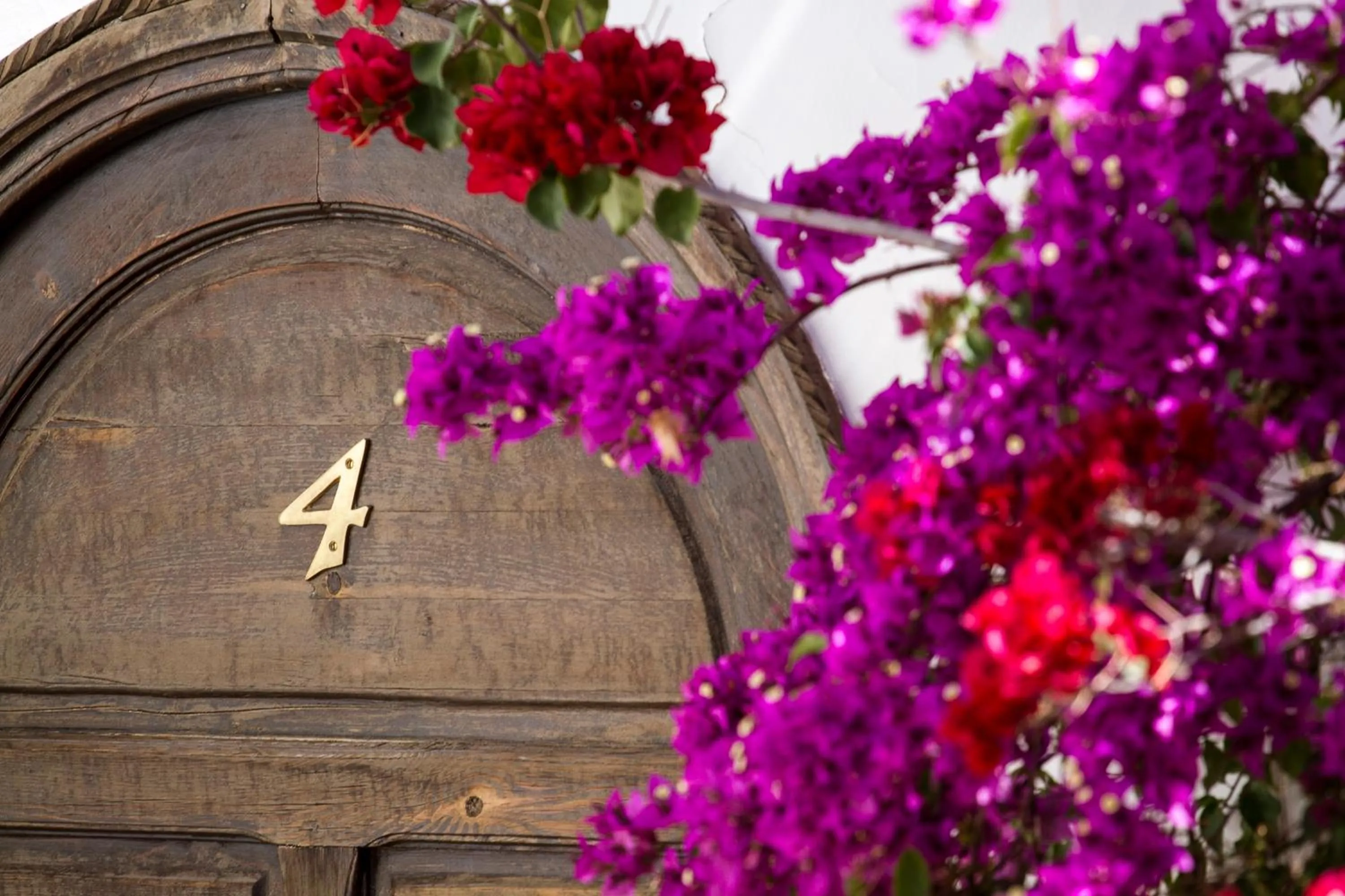 Decorative detail in Riad Clémentine