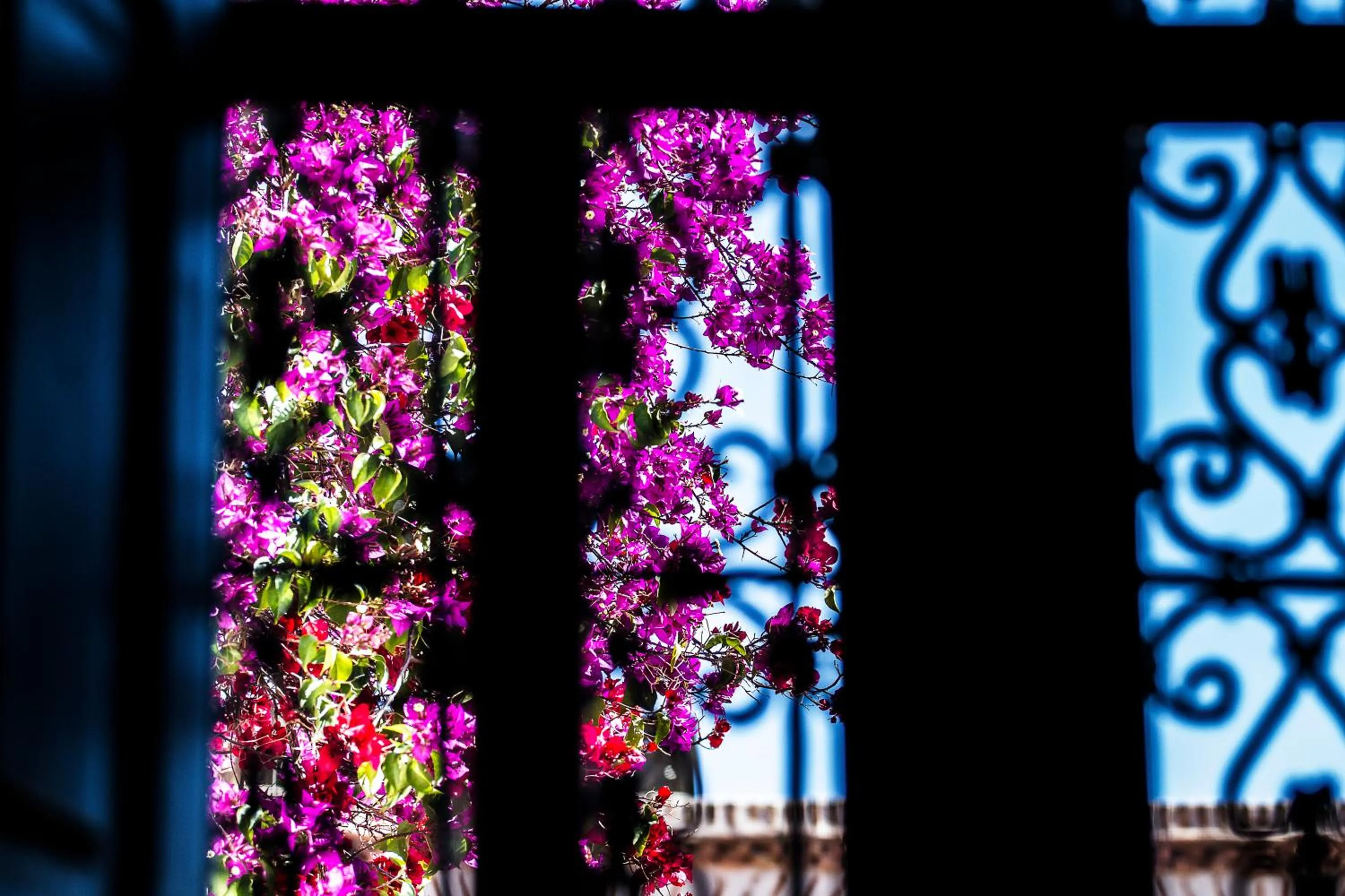 Decorative detail in Riad Clémentine