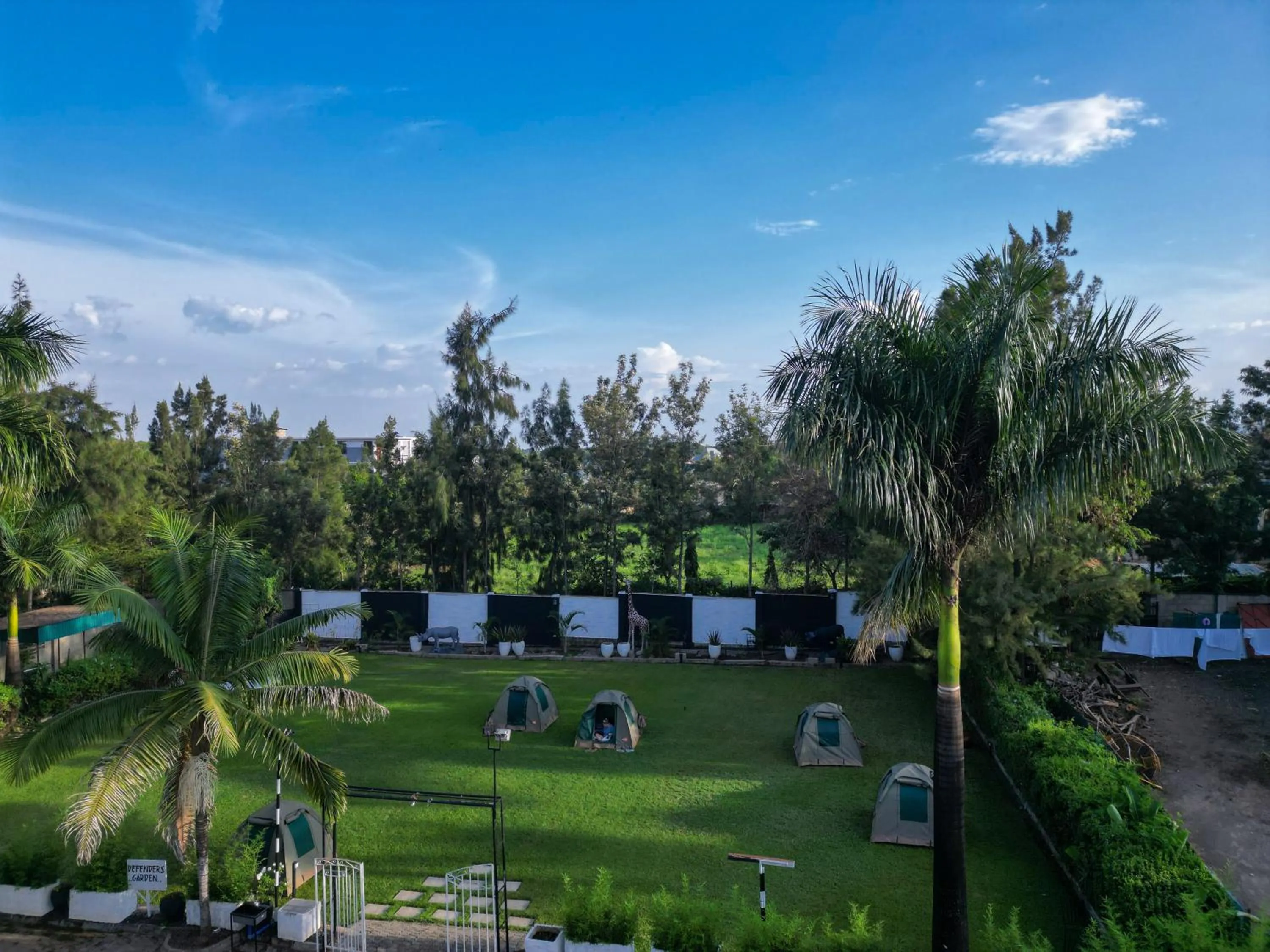 Spring in Njiro Climax