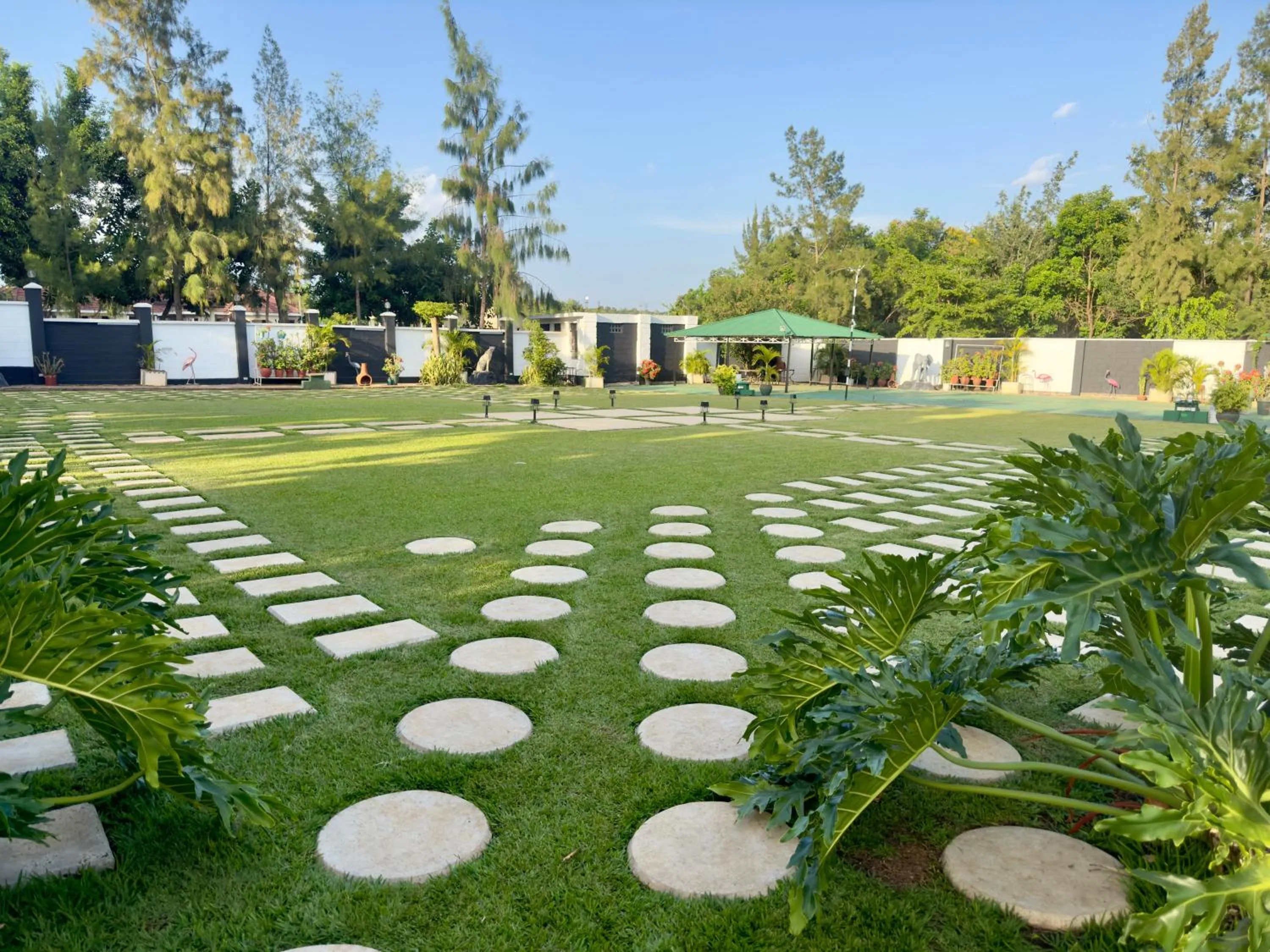 Garden in Njiro Climax