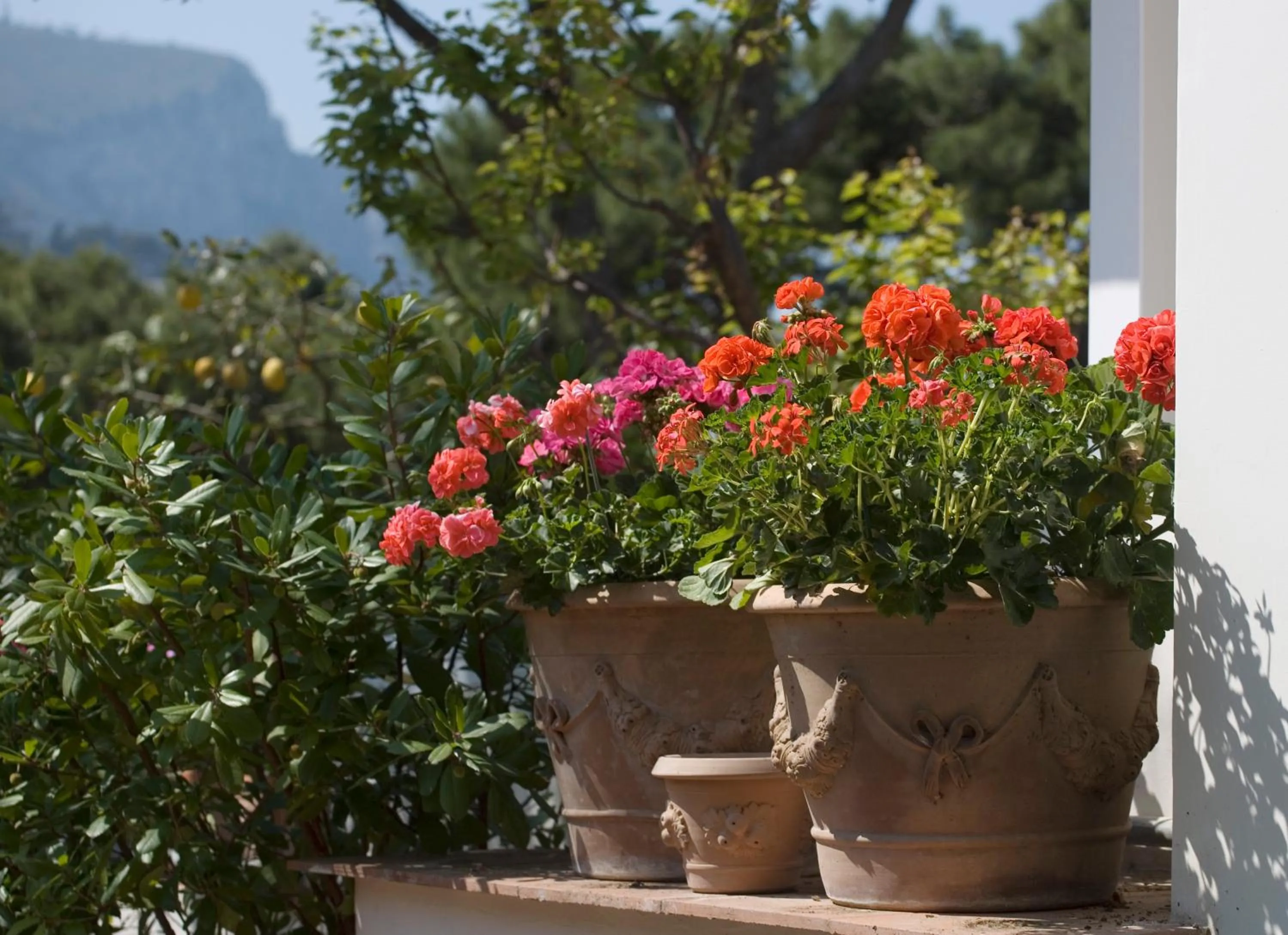 Other in Hotel Villa Brunella