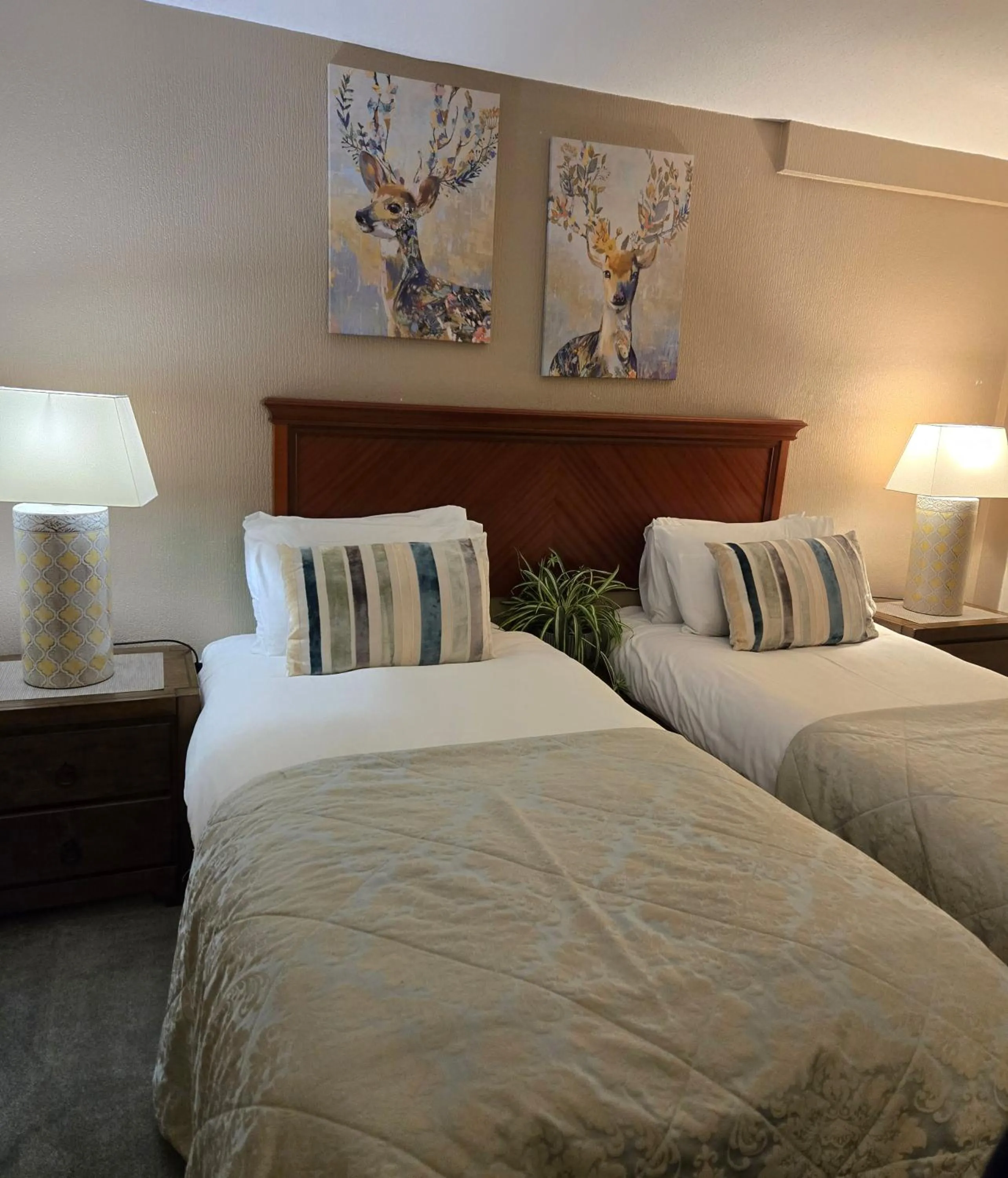 Bed in Mansfield House Hotel