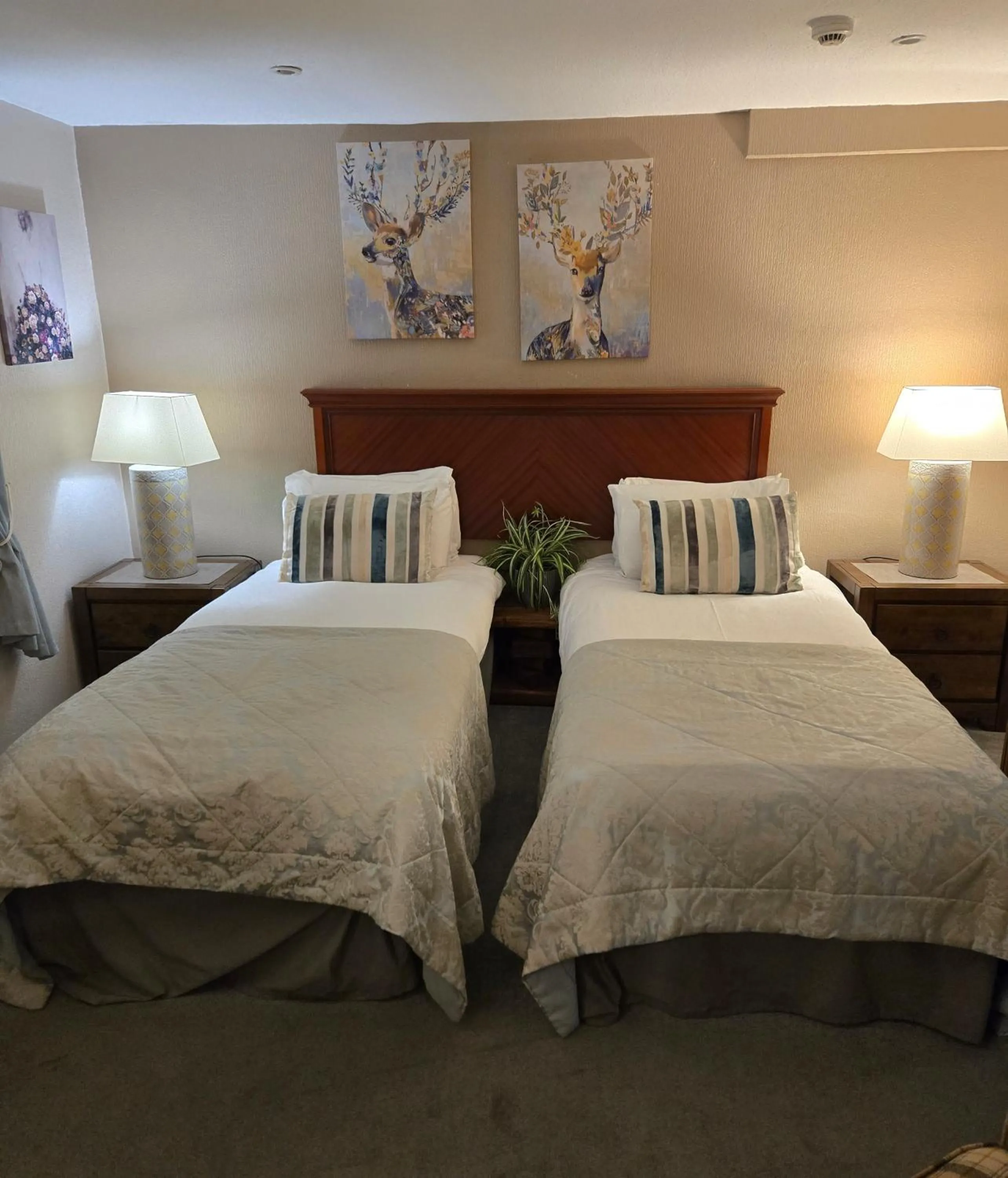 Bed in Mansfield House Hotel