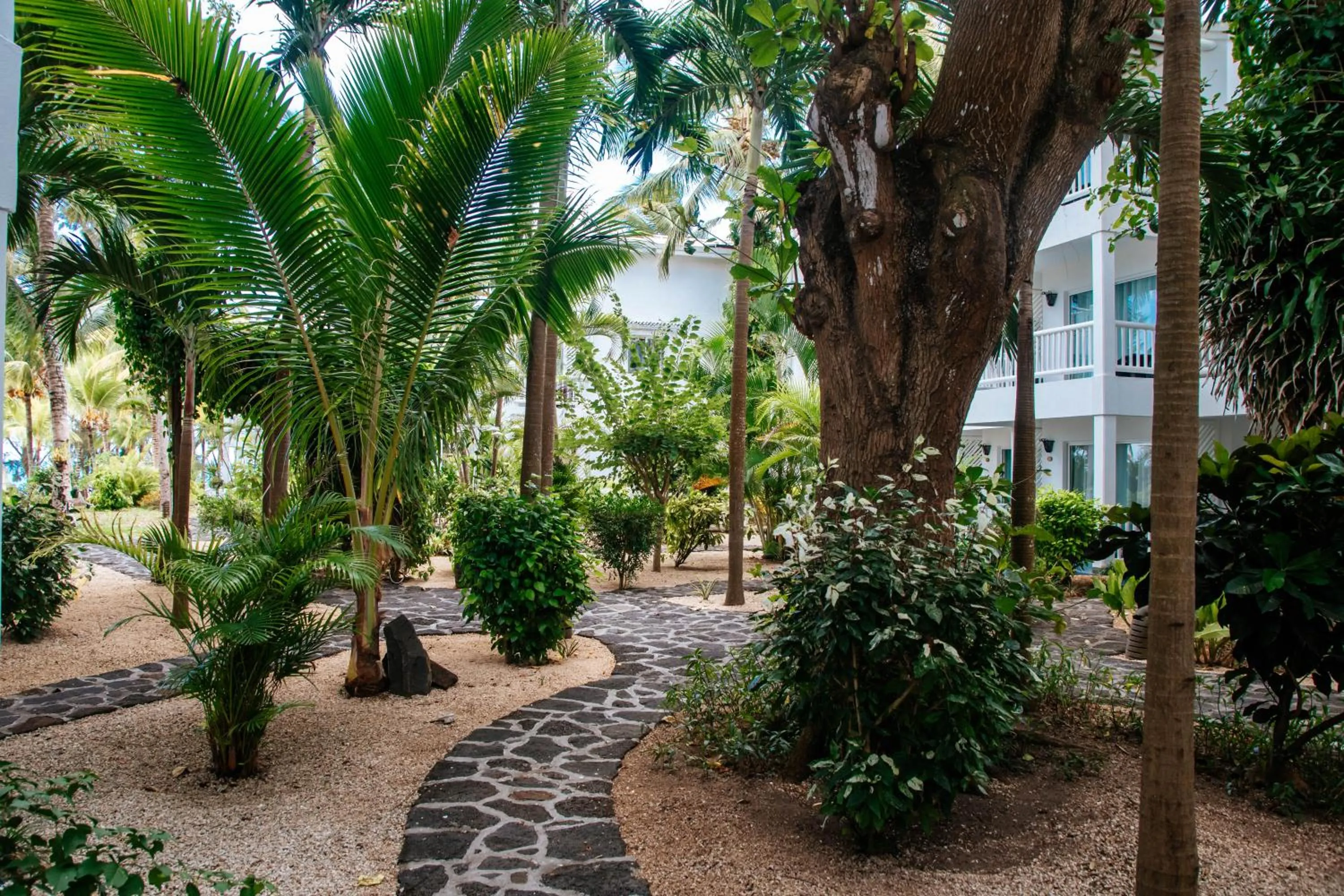 Garden in Hibiscus Boutique Hotel