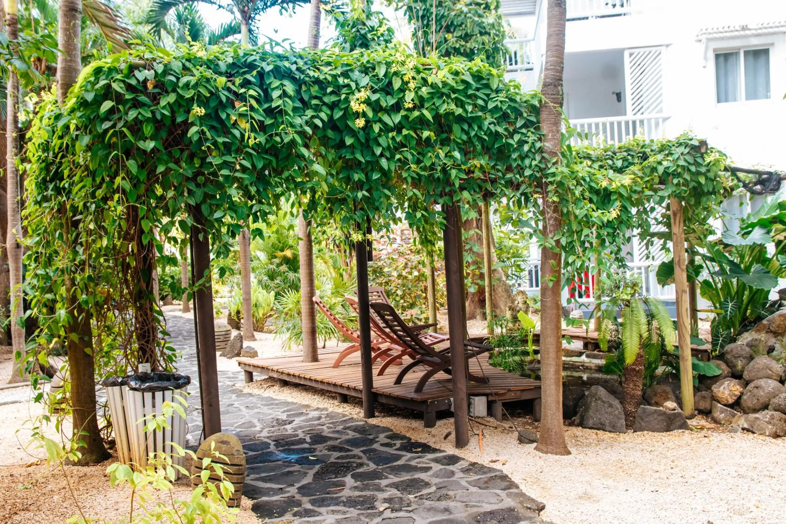 Garden in Hibiscus Boutique Hotel