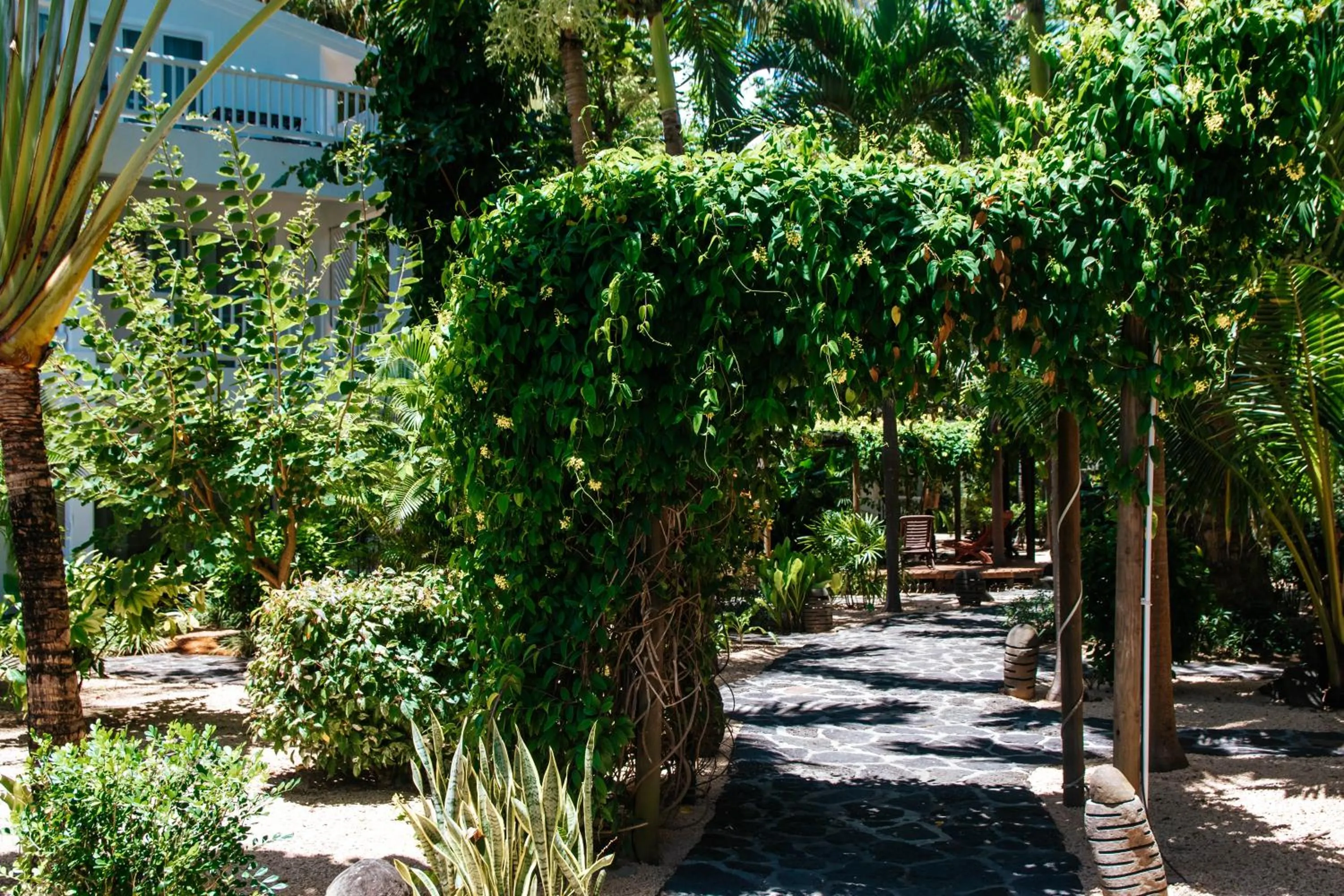 Garden in Hibiscus Boutique Hotel