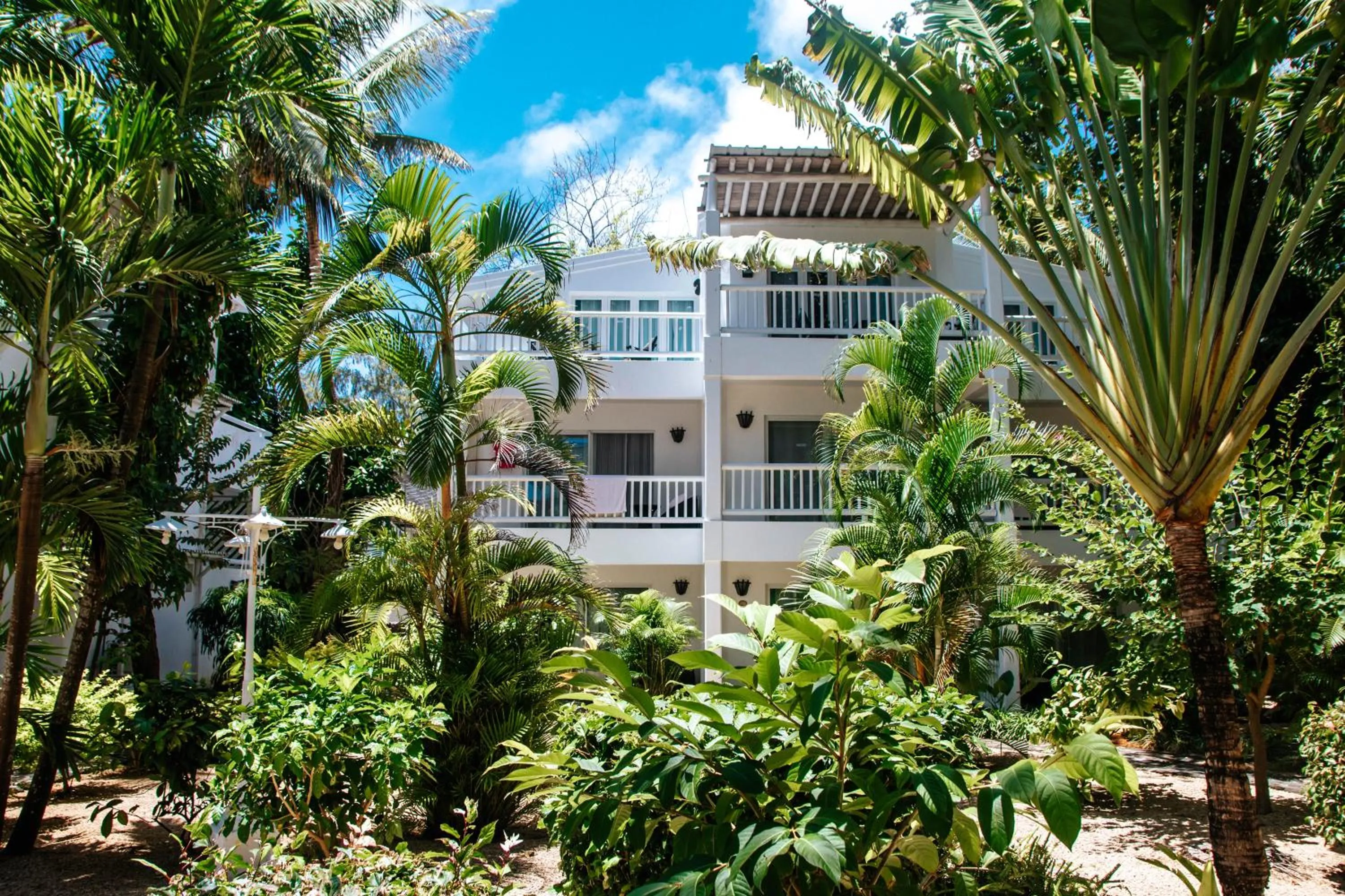 Garden in Hibiscus Boutique Hotel