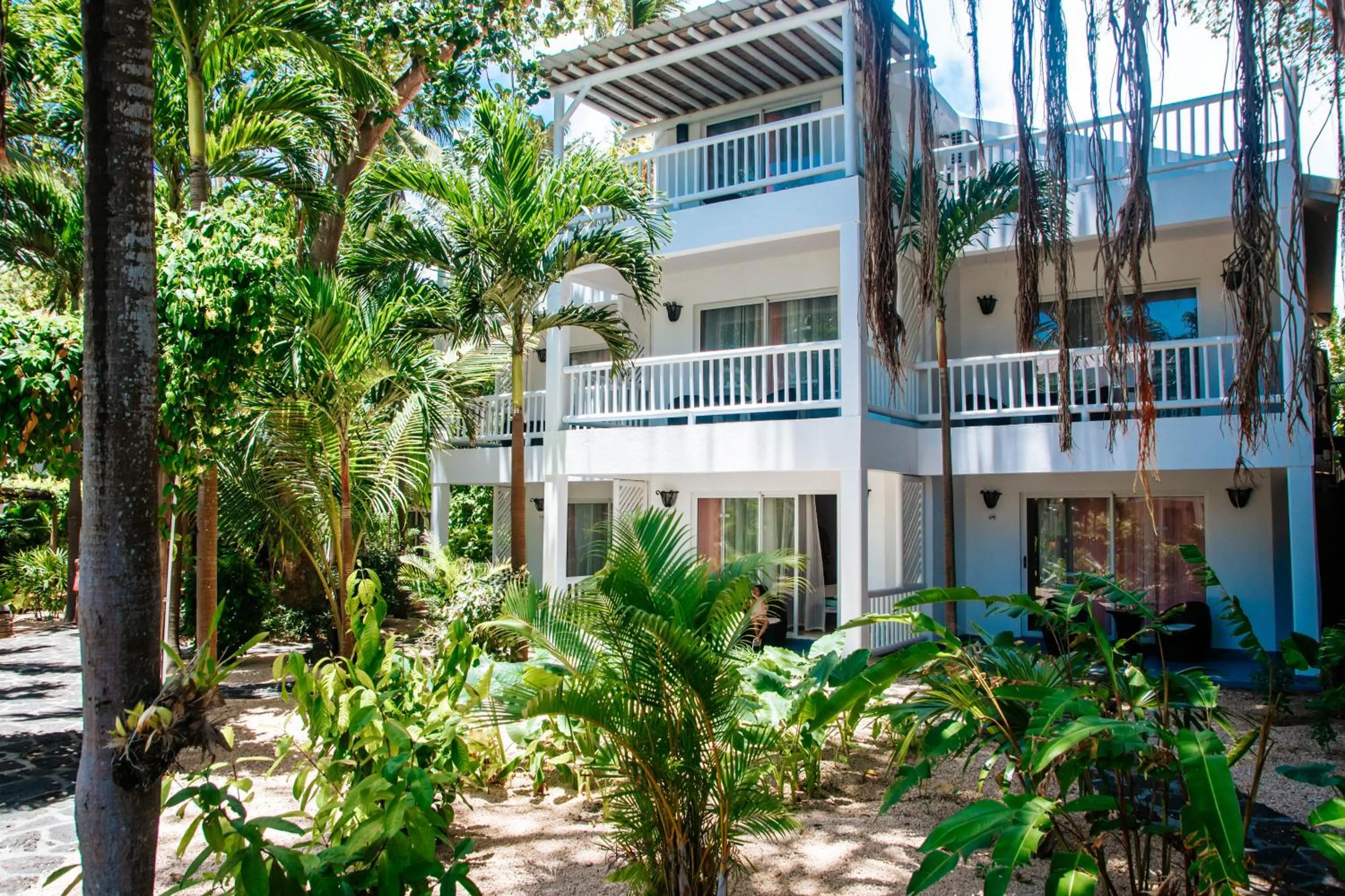 Garden in Hibiscus Boutique Hotel