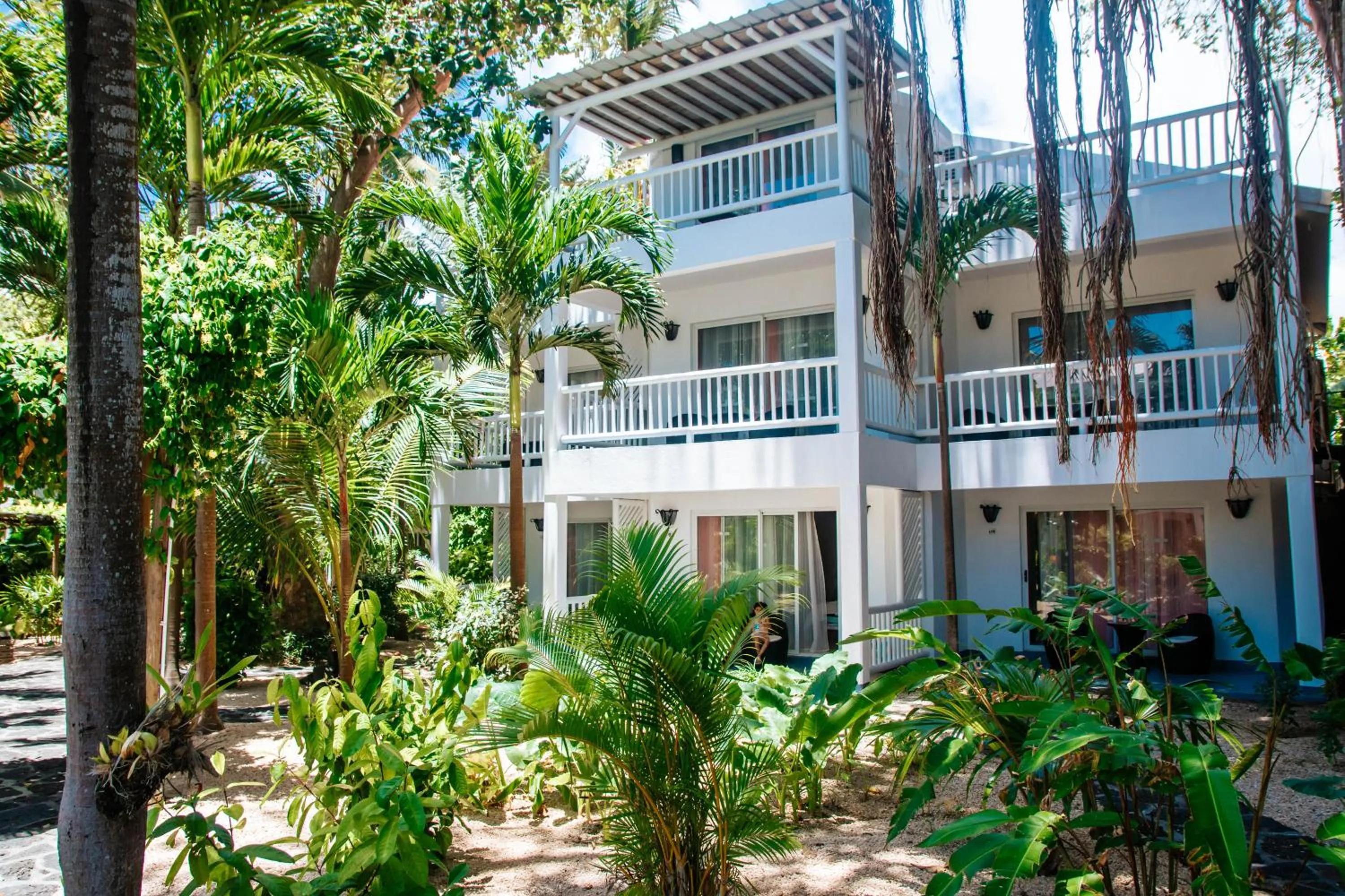 Garden in Hibiscus Boutique Hotel