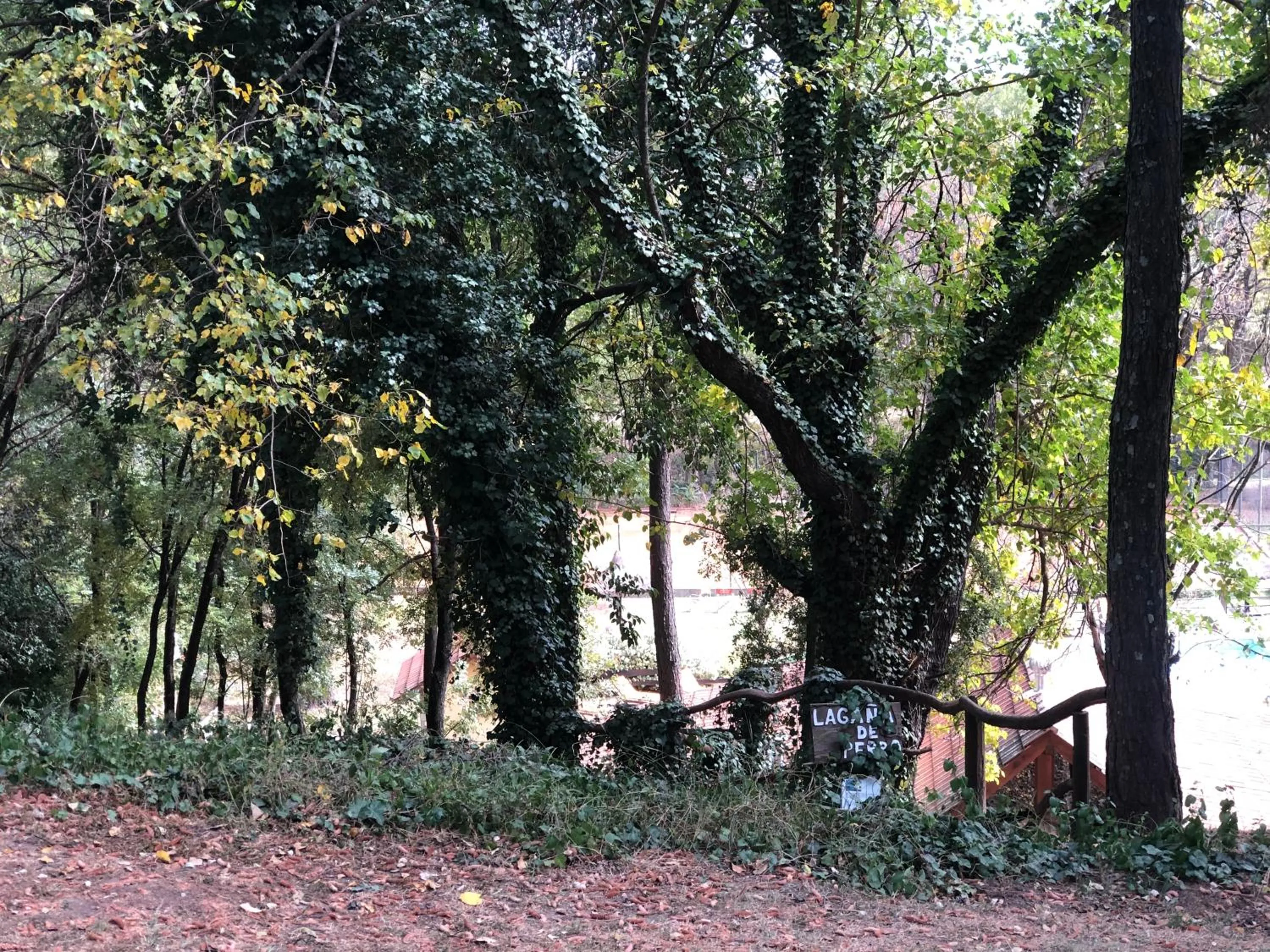 Natural landscape in Cabañas Aufenthalt