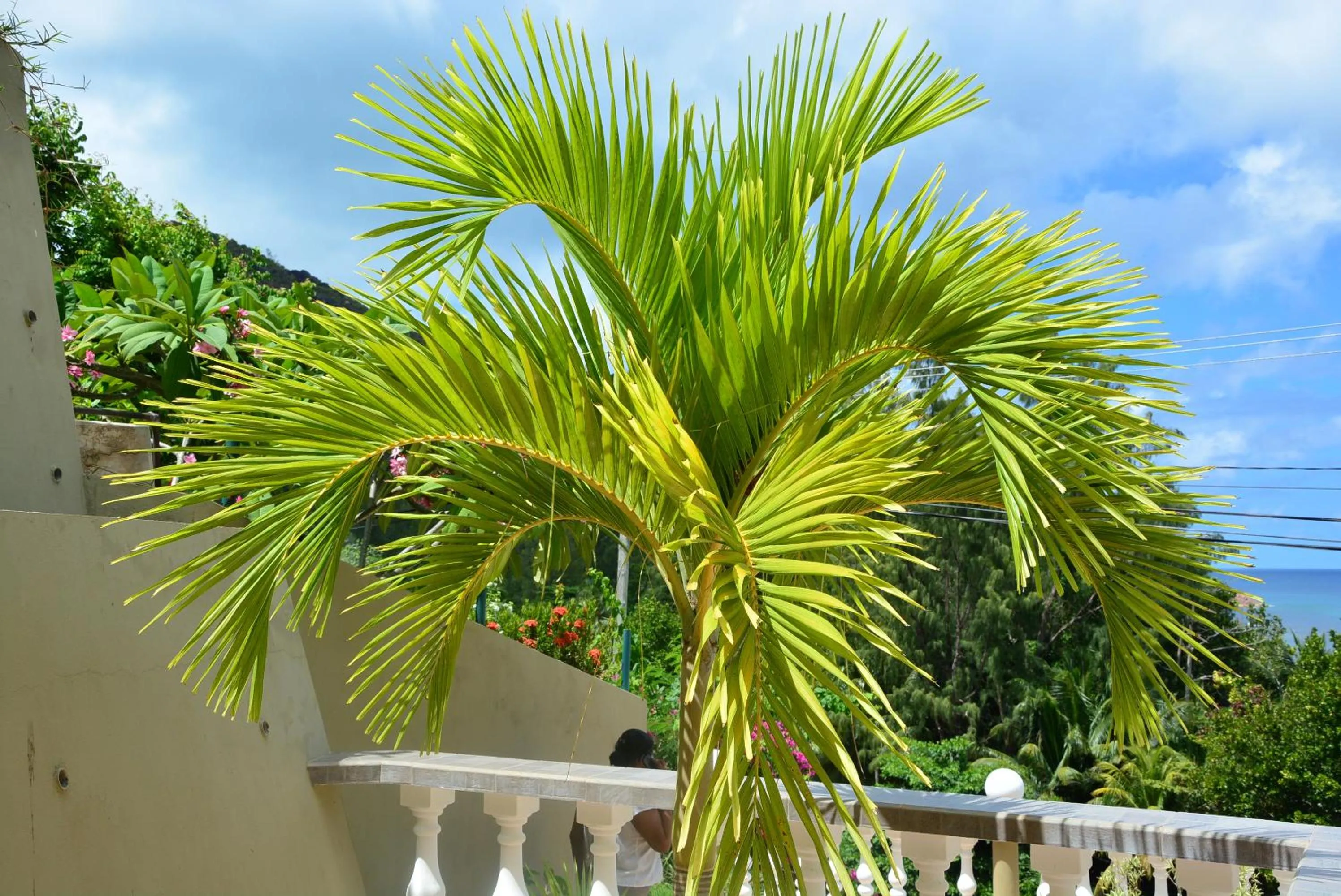 Balcony/Terrace in Villa Anse La Blague