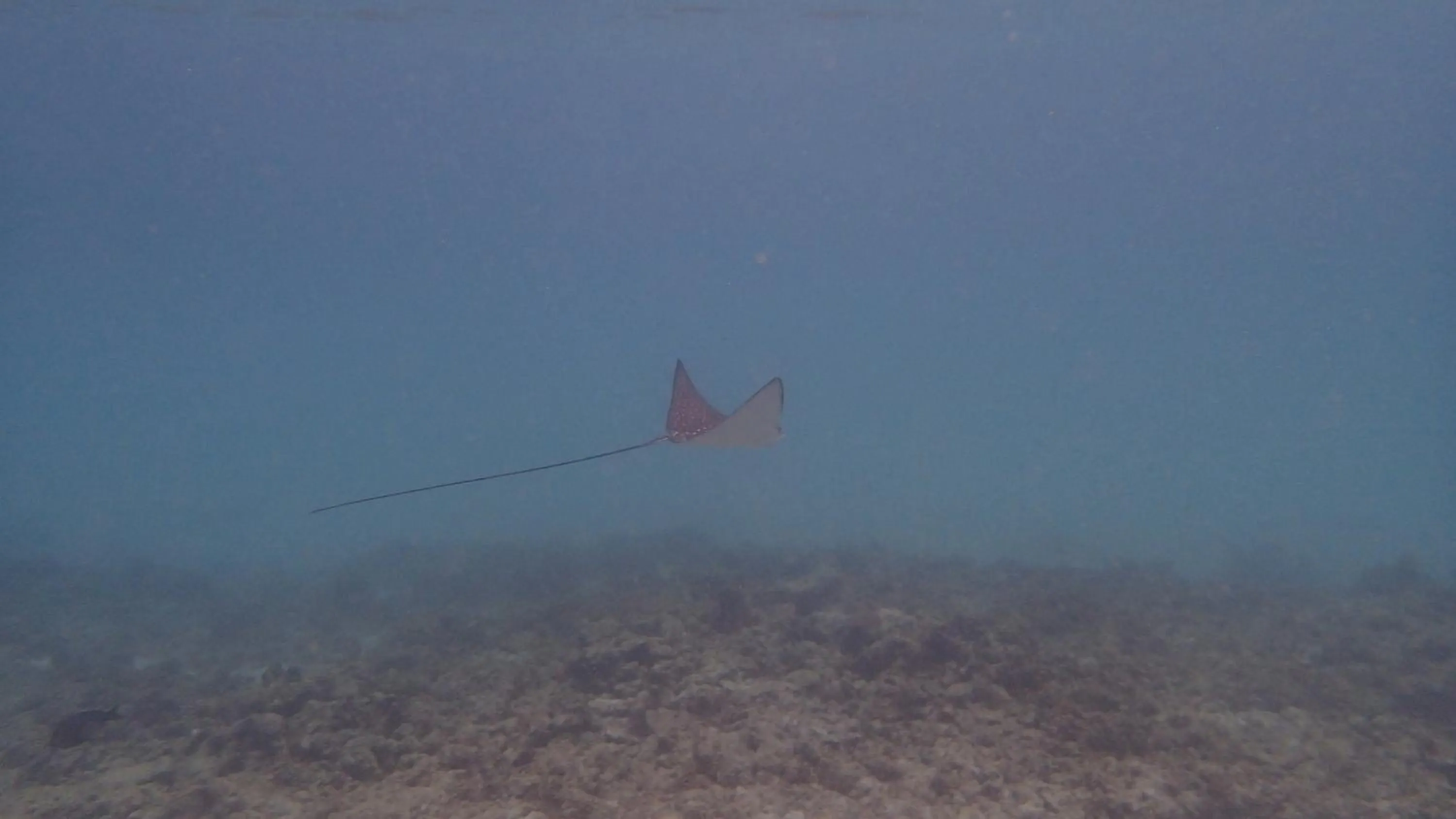 Activities in Villa Anse La Blague