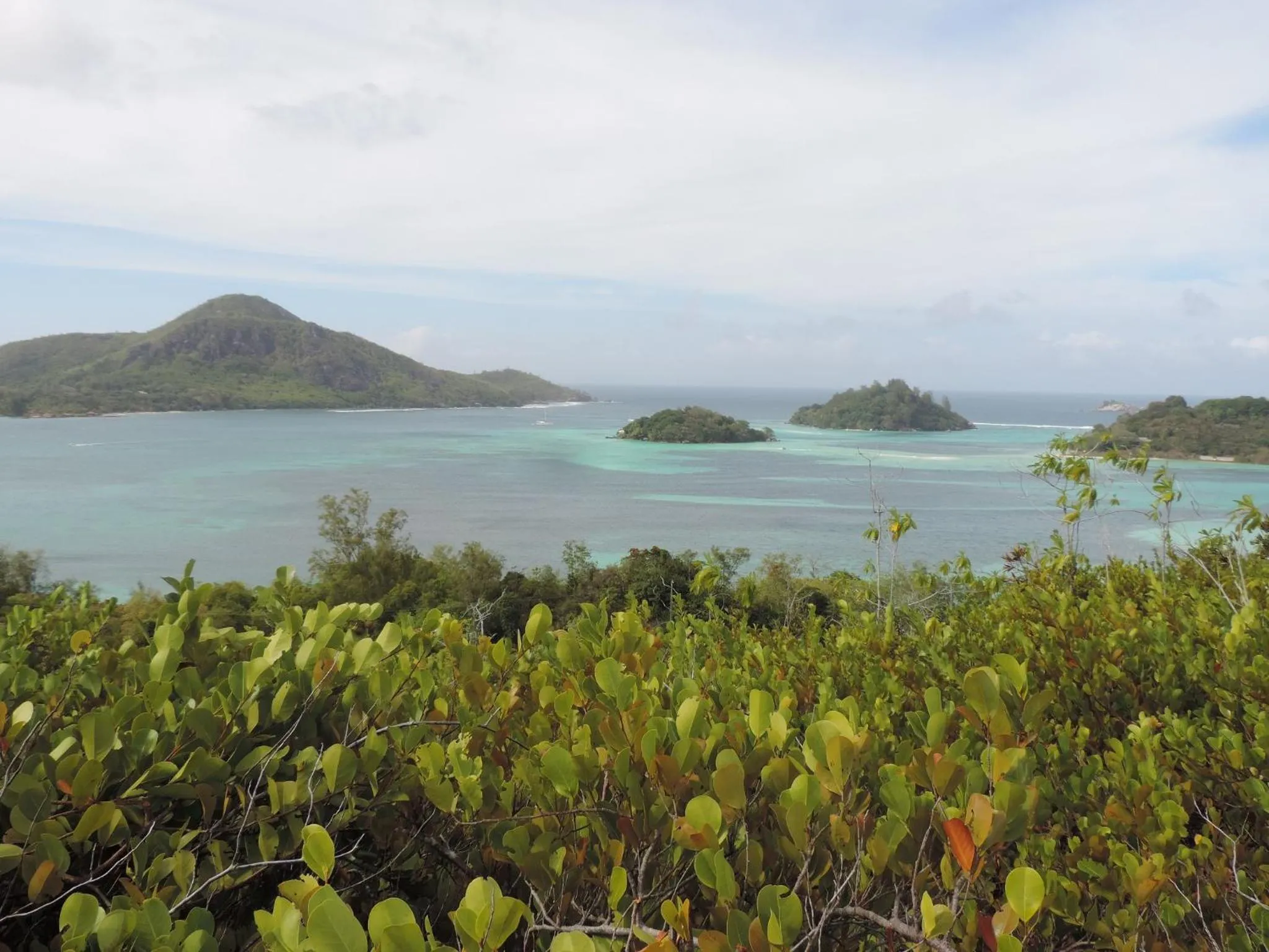 Natural landscape in Villa De Cerf