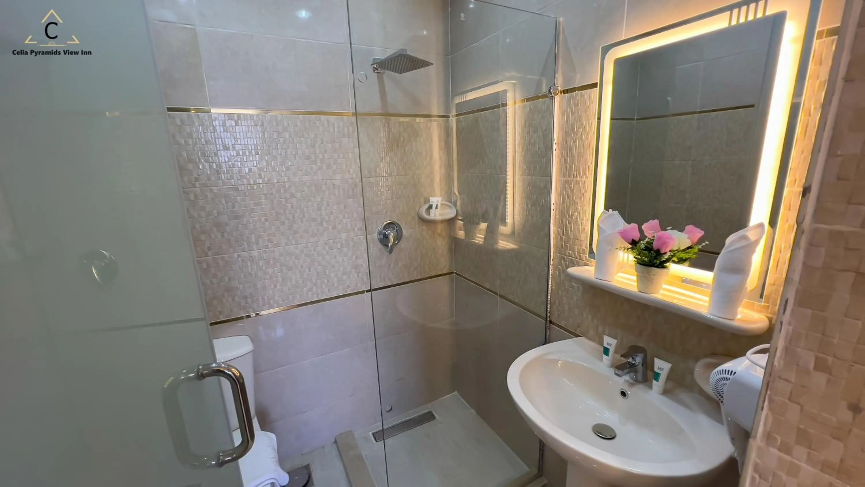 Shower in Celia Pyramids View inn