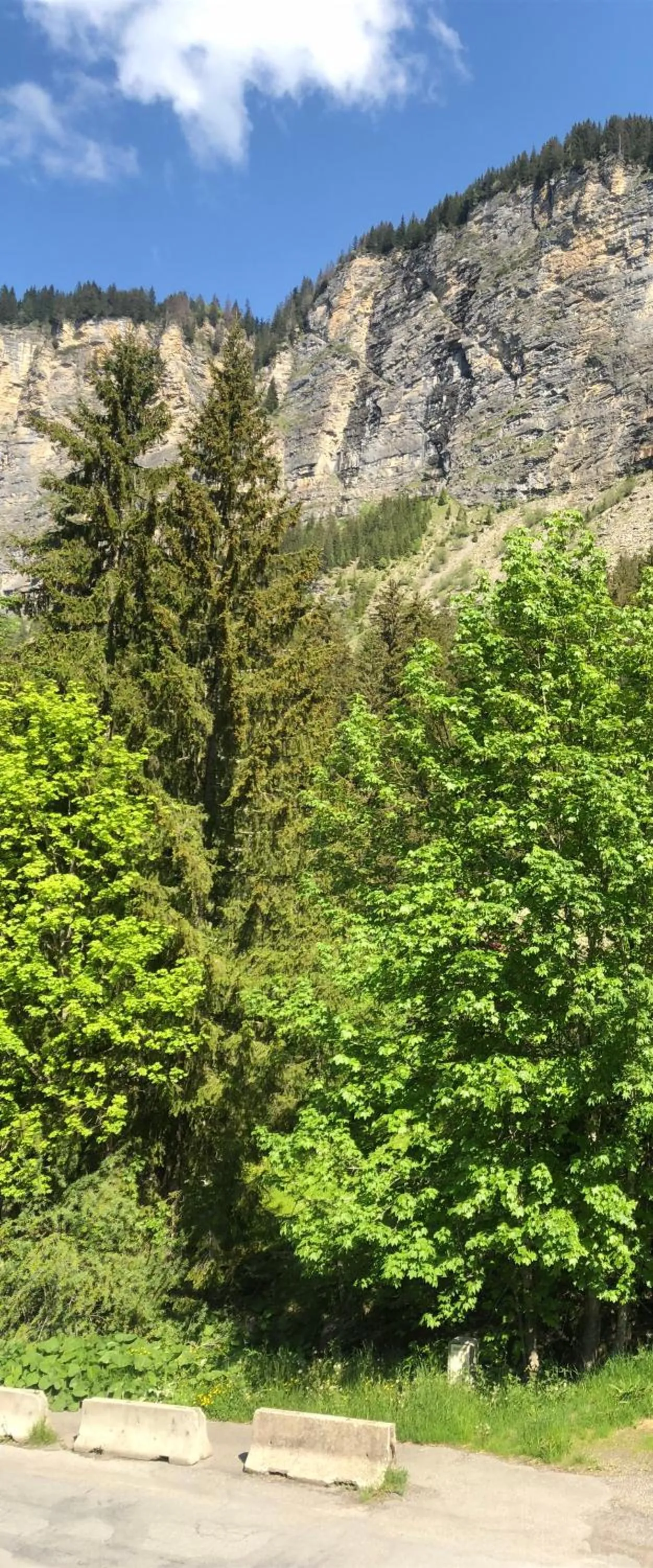 Spring in Hôtel la Kinkerne