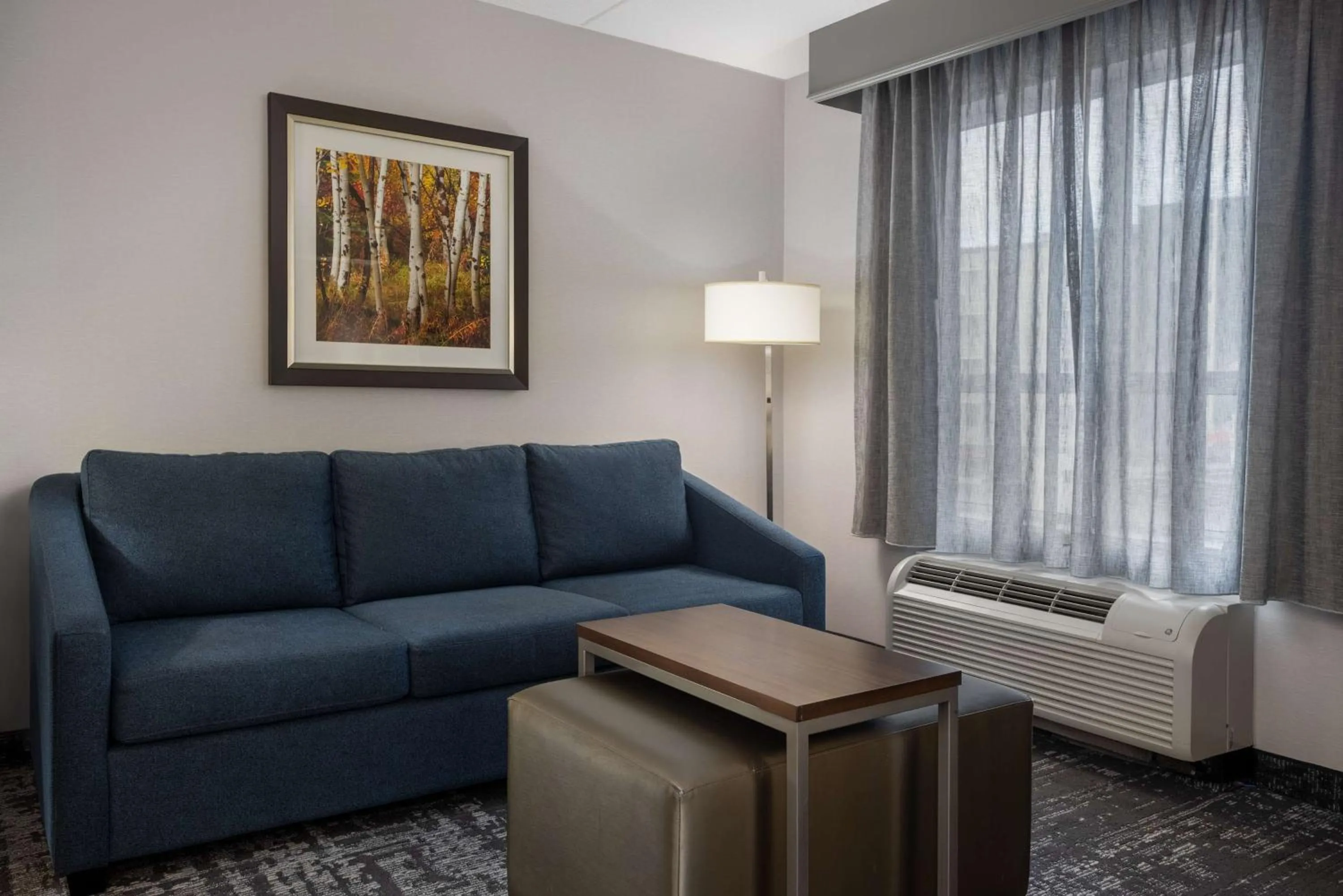 Living room in Homewood Suites by Hilton Waterloo/St. Jacobs